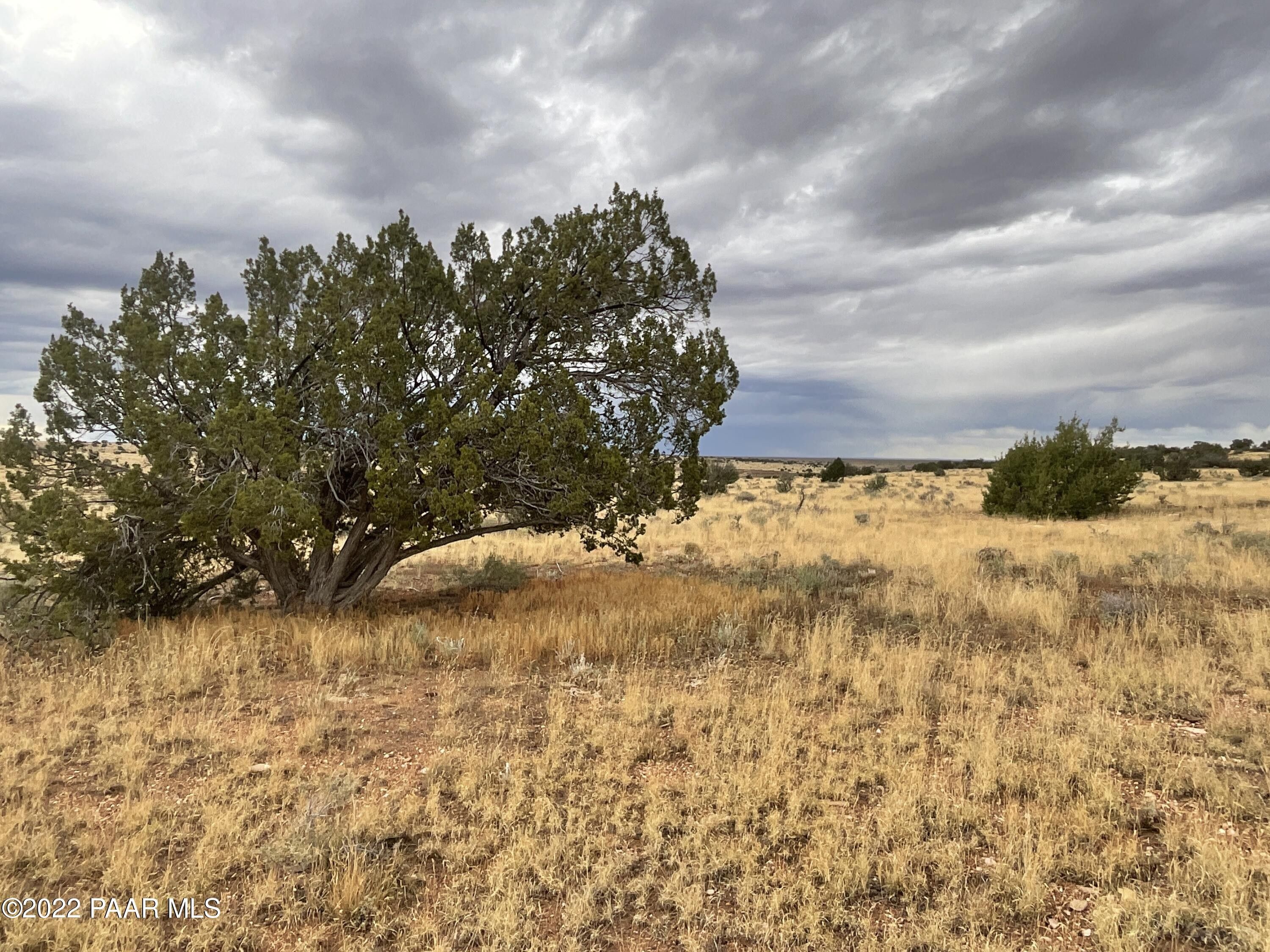 Williams, Coconino County, AZ Undeveloped Land for sale Property ID