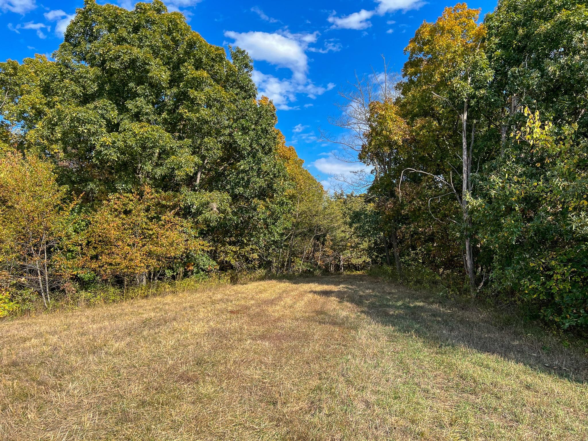 300 acres in Bucklin, MO, 64631 LandWatch