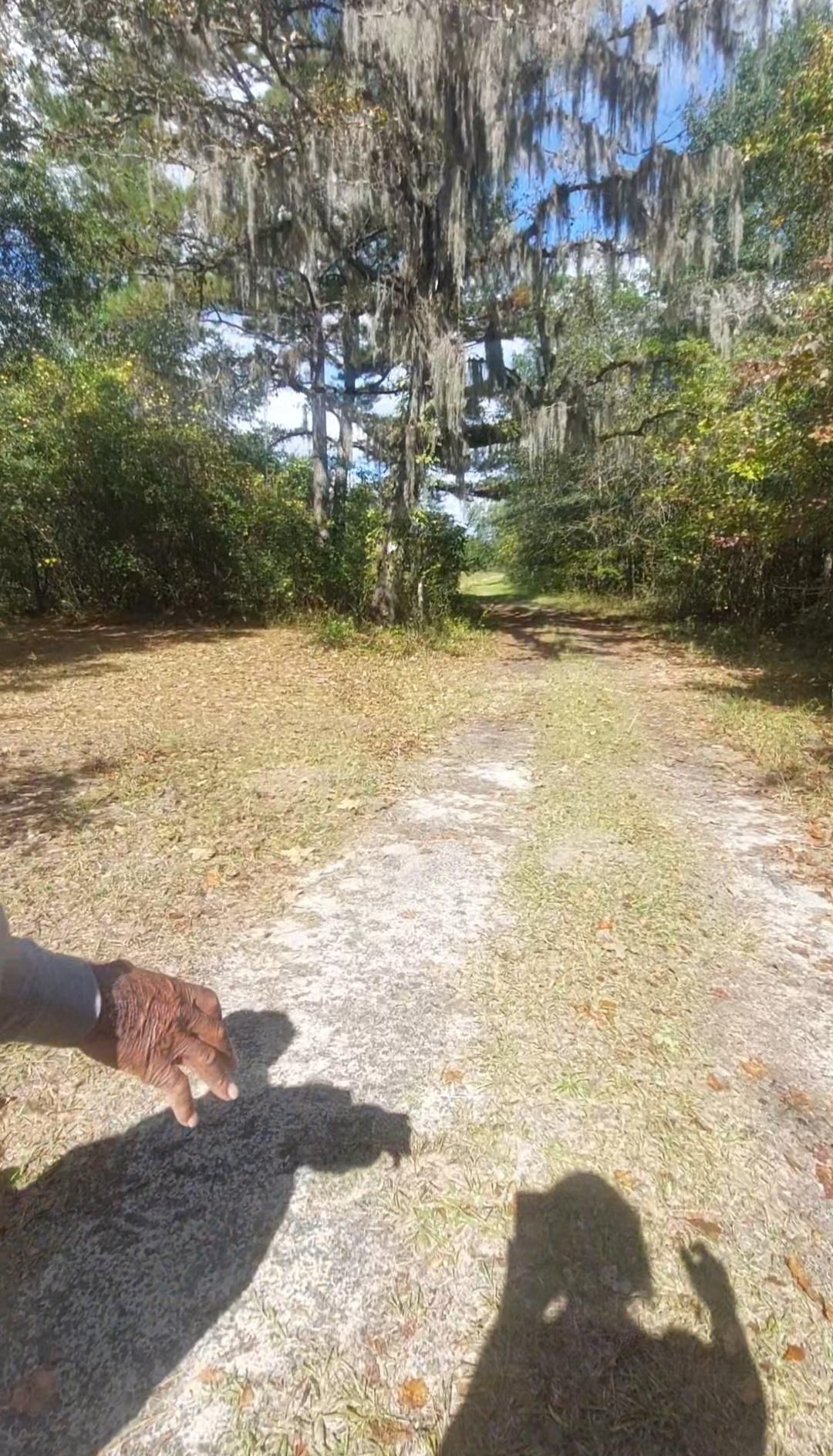 Moncks Corner, Berkeley County, SC Undeveloped Land for sale Property