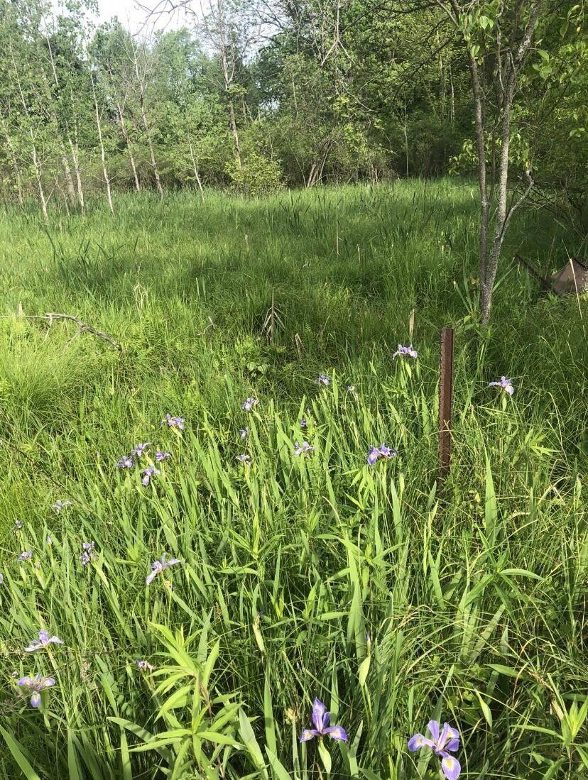 Cassopolis, Cass County, MI Undeveloped Land, Lakefront Property