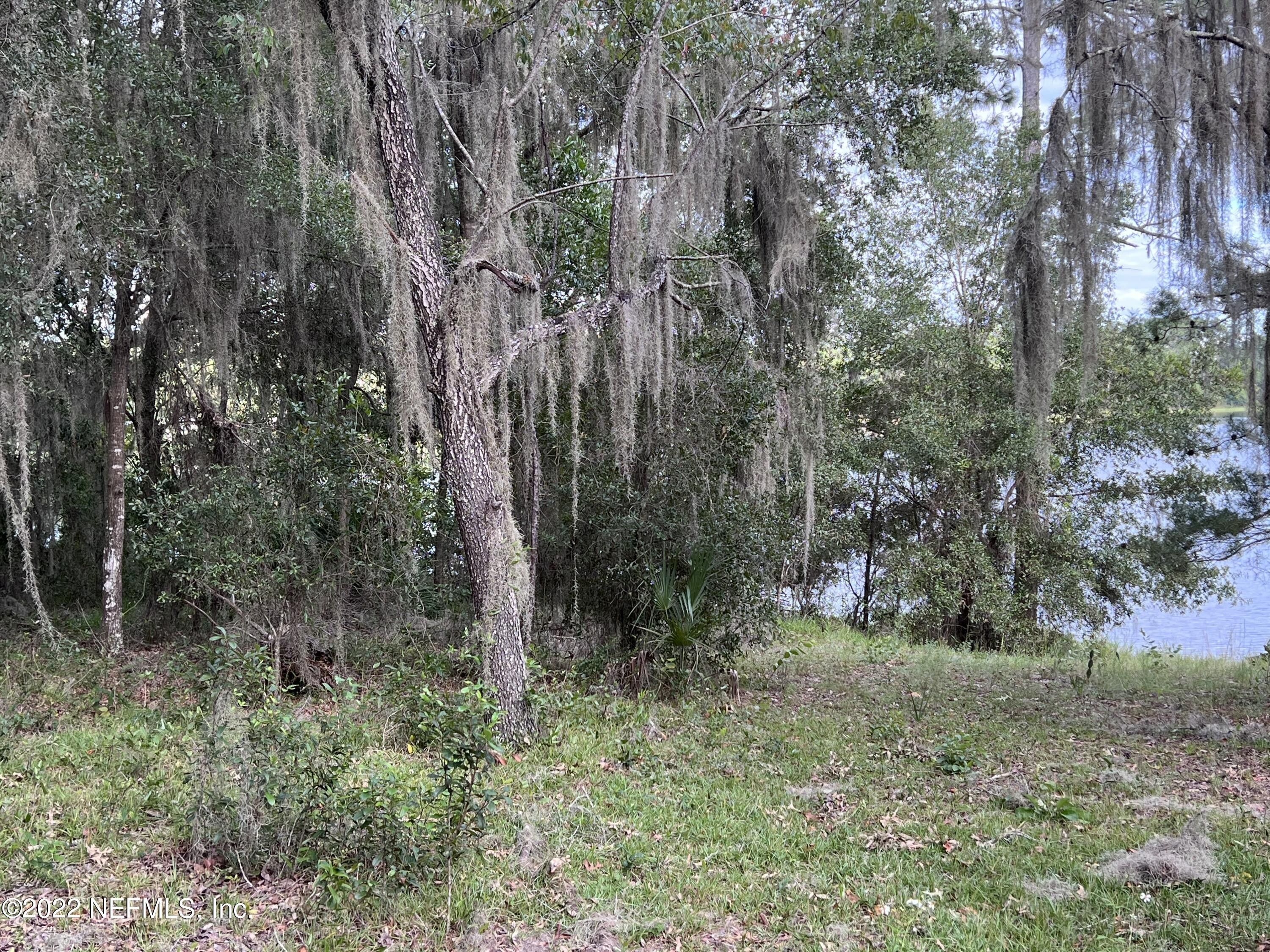 Interlachen, Putnam County, FL Undeveloped Land, Lakefront Property