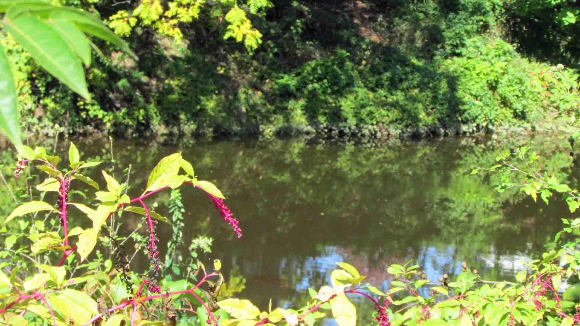 Port Jervis, Orange County, NY Recreational Property, Undeveloped Land