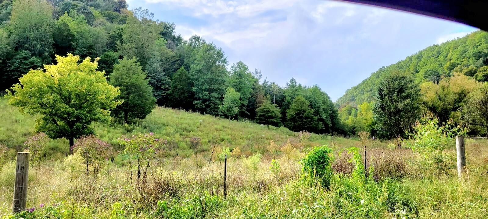 Somerset, Pulaski County, KY Farms and Ranches for sale Property ID 415077896 LandWatch