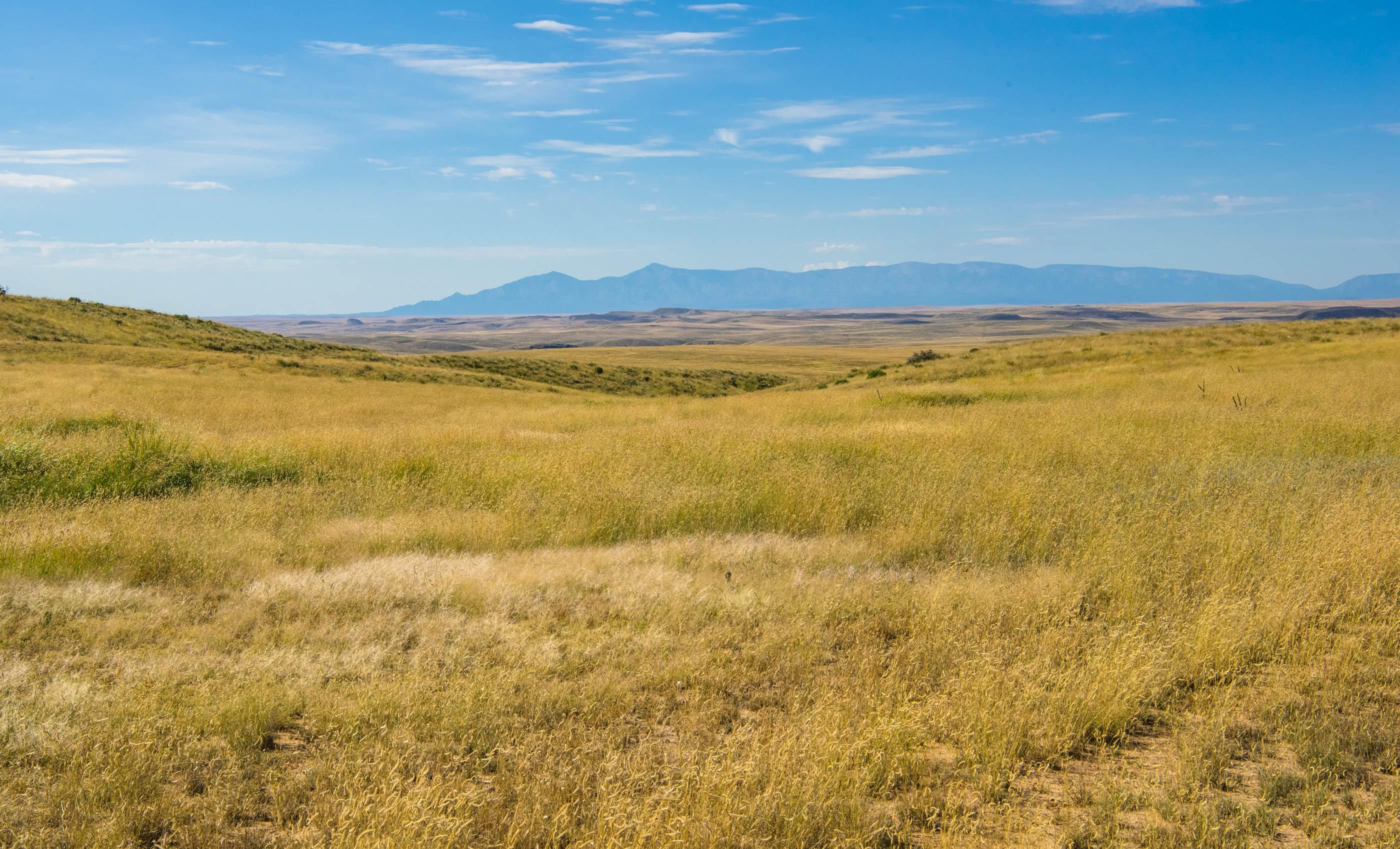 48,141 acres in Corona, NM, 88318 LandWatch