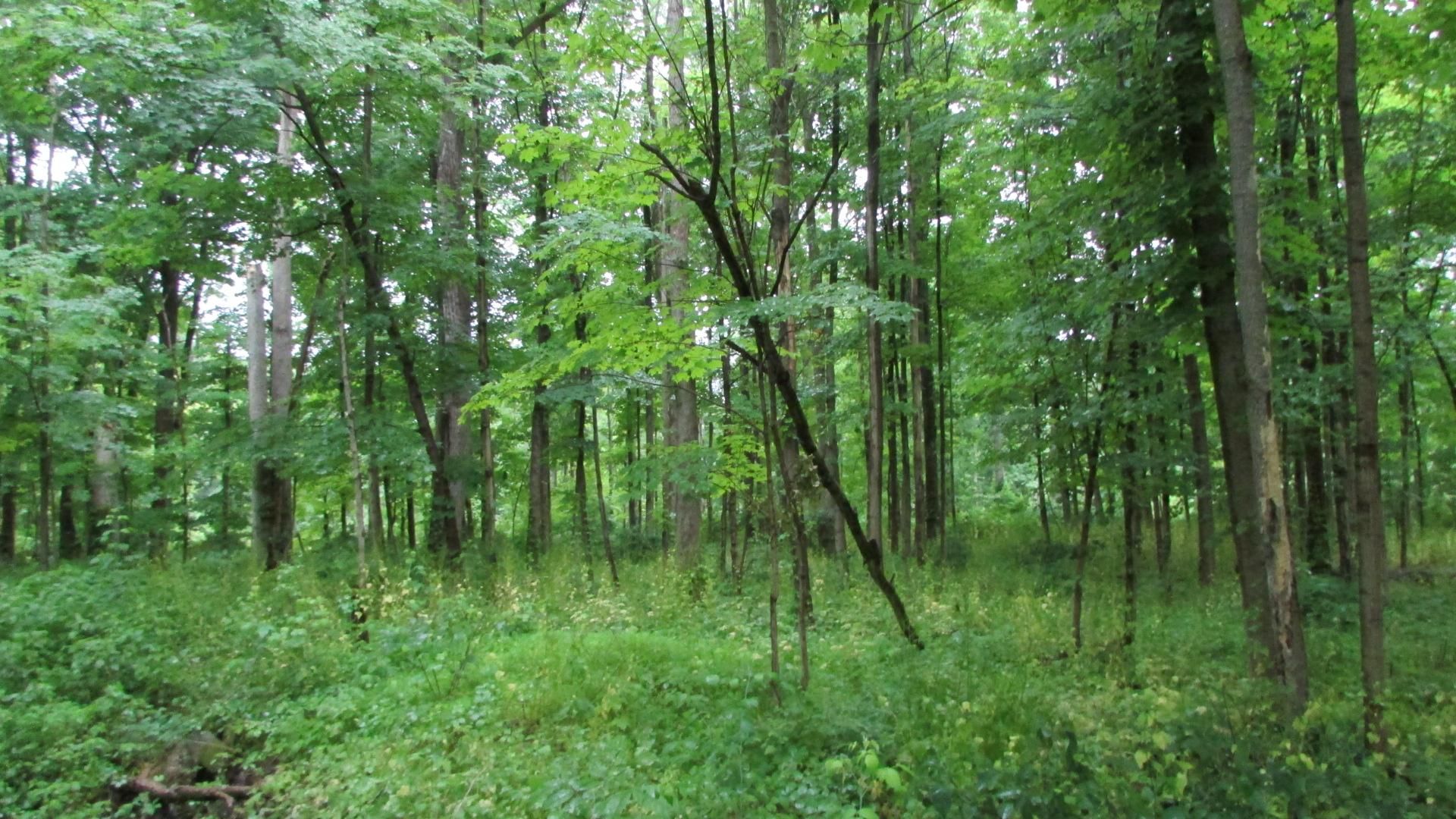 Middlebush Rd, Wappingers Falls, NY 12590 MLS 296777 LandWatch