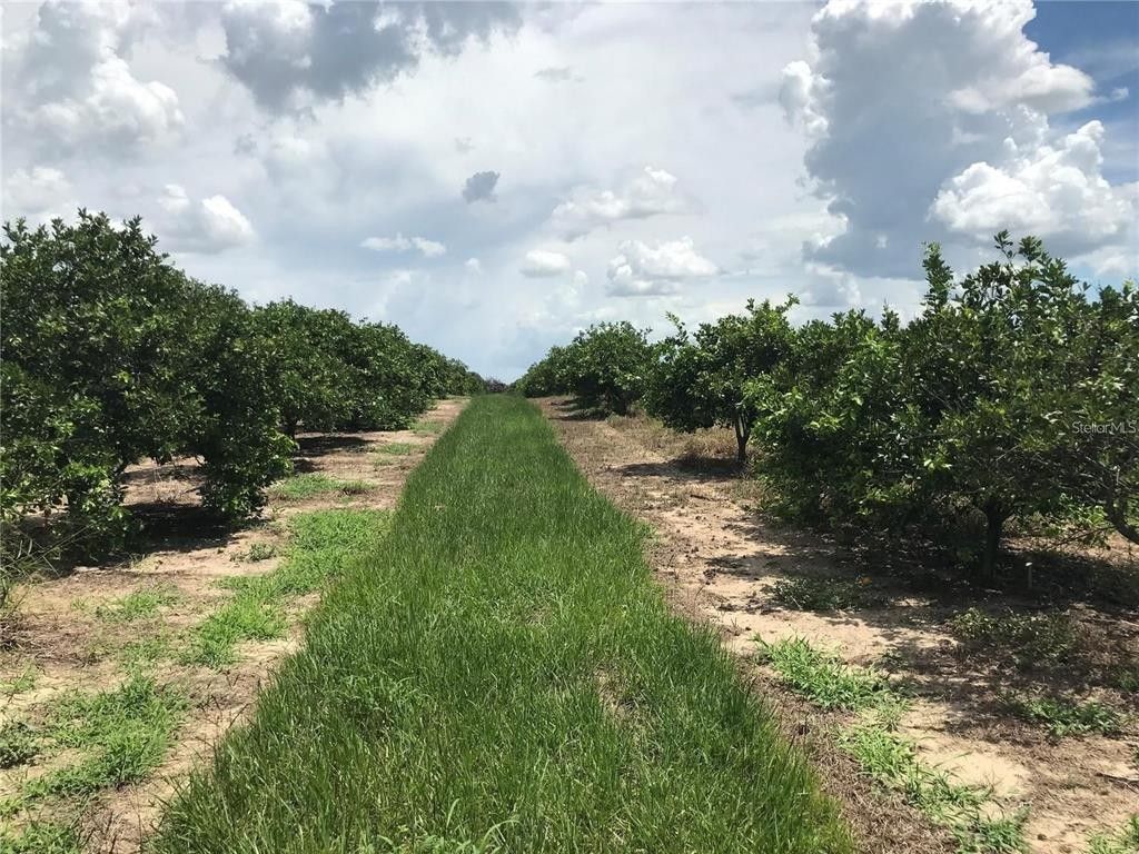 Frostproof, Polk County, FL Farms and Ranches for sale Property ID