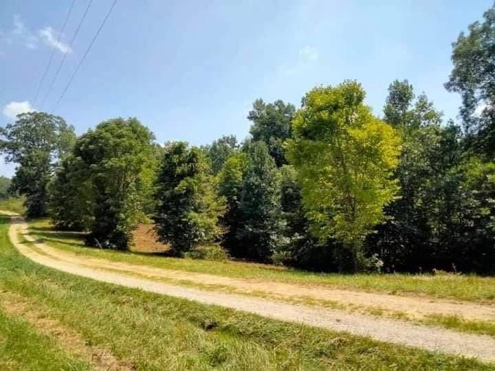 Hustonville, Lincoln County, KY Undeveloped Land for sale Property ID