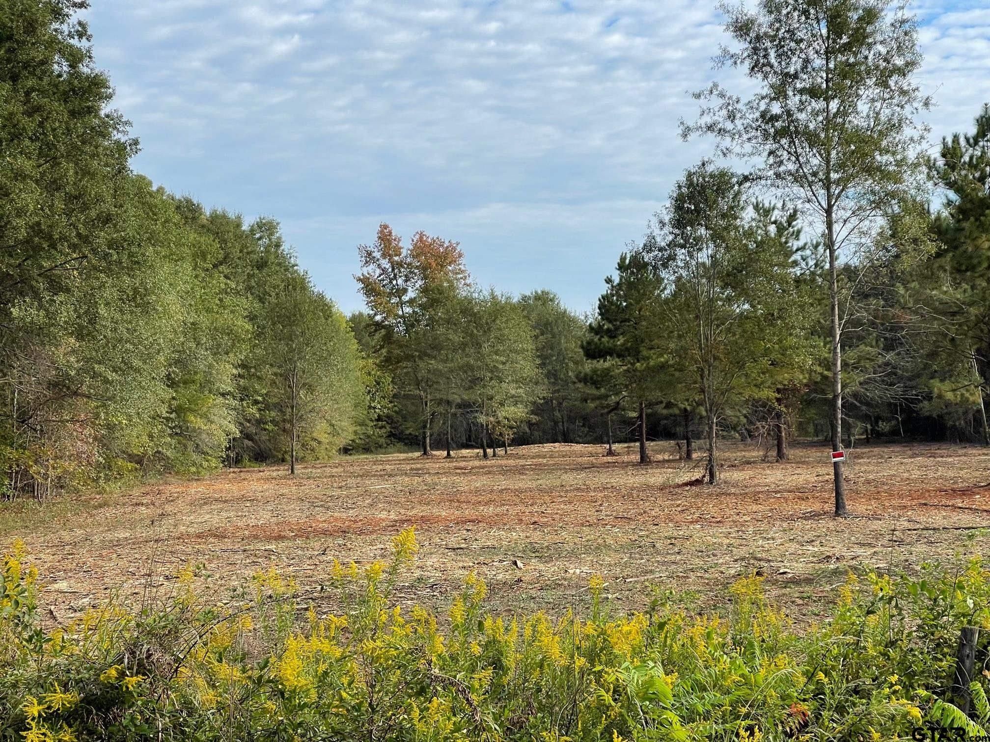 Pittsburg, Upshur County, TX Undeveloped Land for sale Property ID