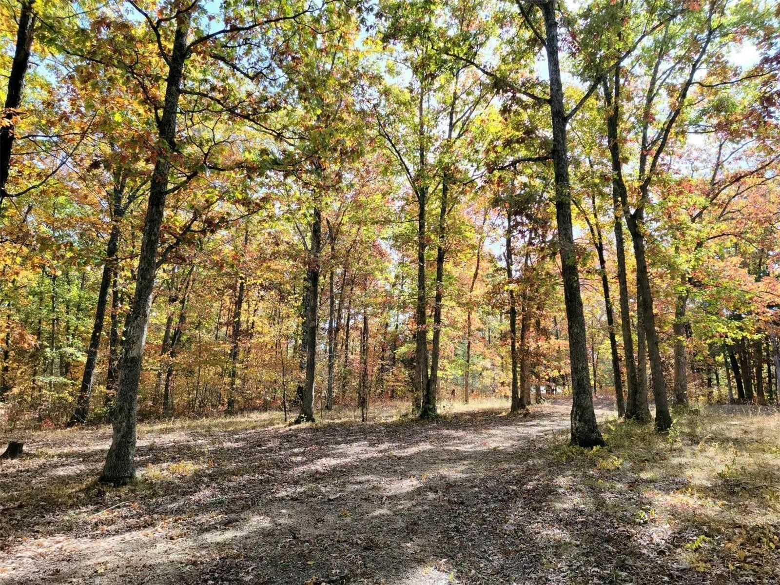 Cadet, Washington County, MO Undeveloped Land, Homesites for sale