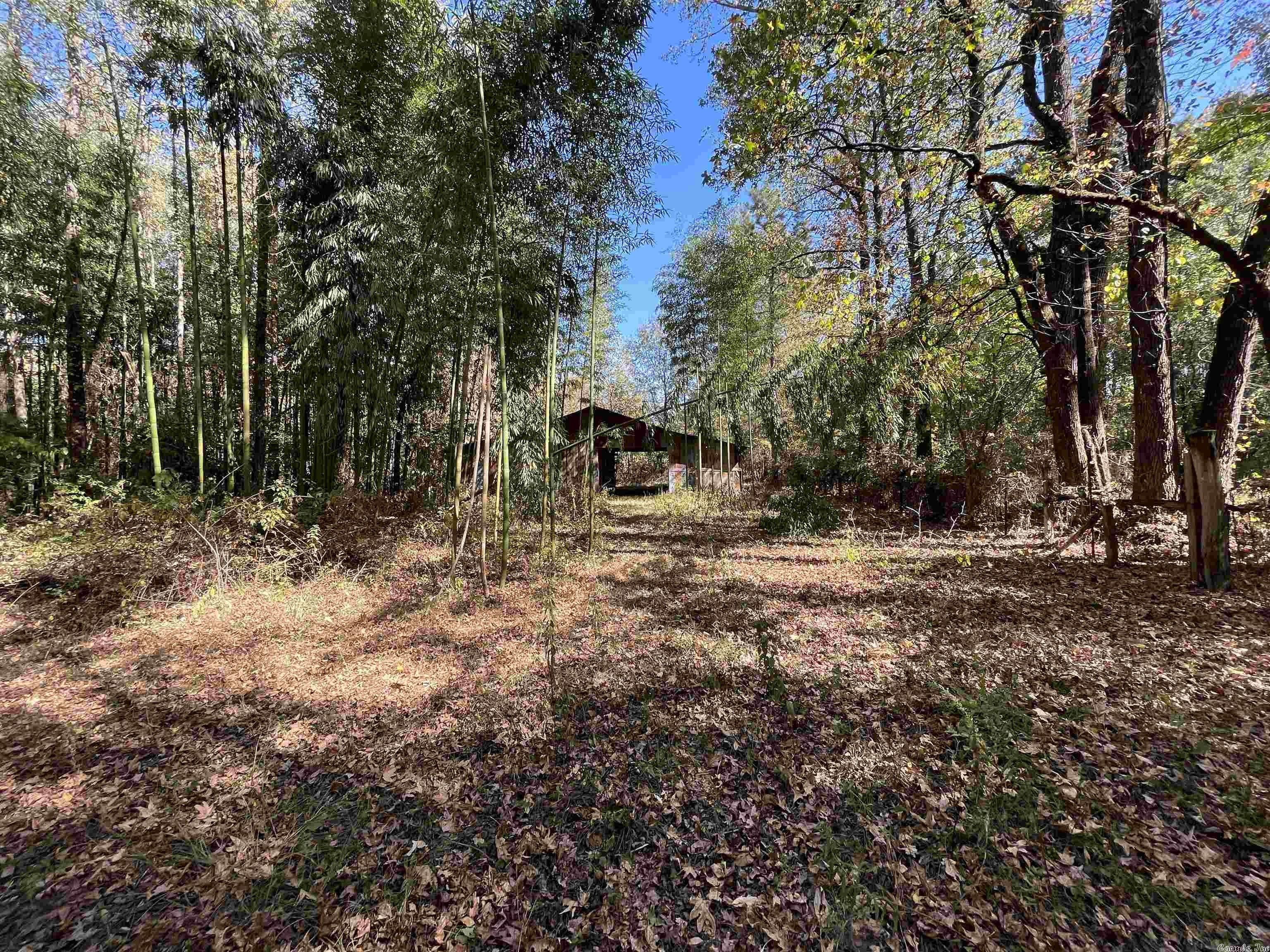 Ola, Yell County, AR Undeveloped Land, Homesites for sale Property ID