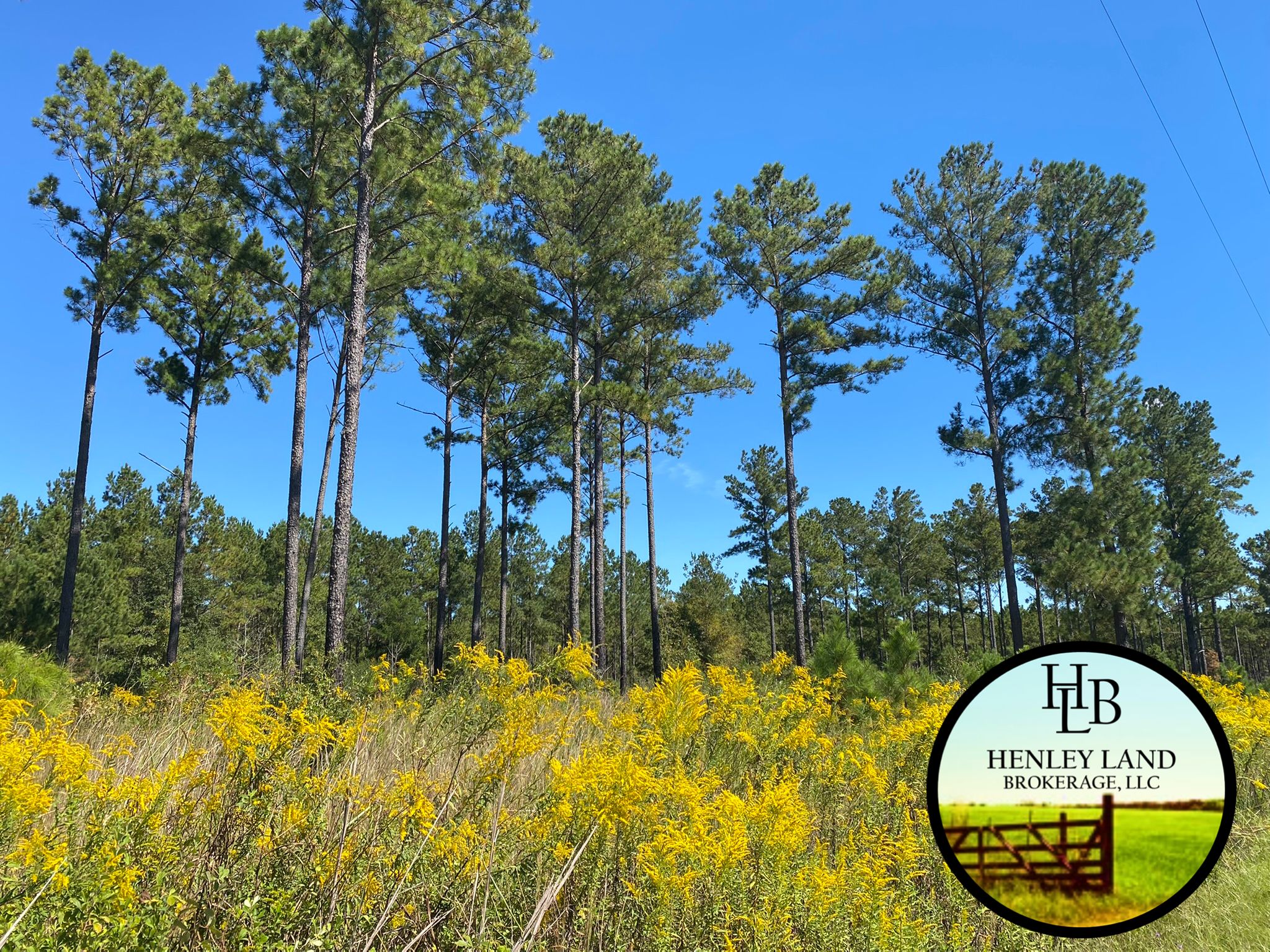 Edison, Calhoun County, GA Recreational Property, Undeveloped Land