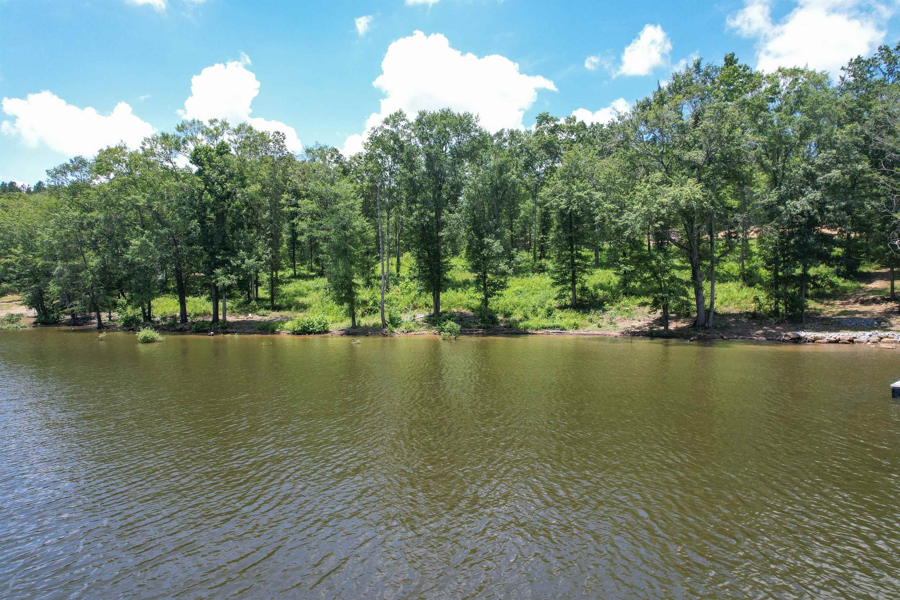 Crane Hill, Cullman County, AL Undeveloped Land, Lakefront Property