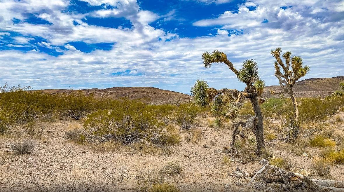 Hackberry, Mohave County, AZ Recreational Property, Undeveloped Land, Homesites for sale