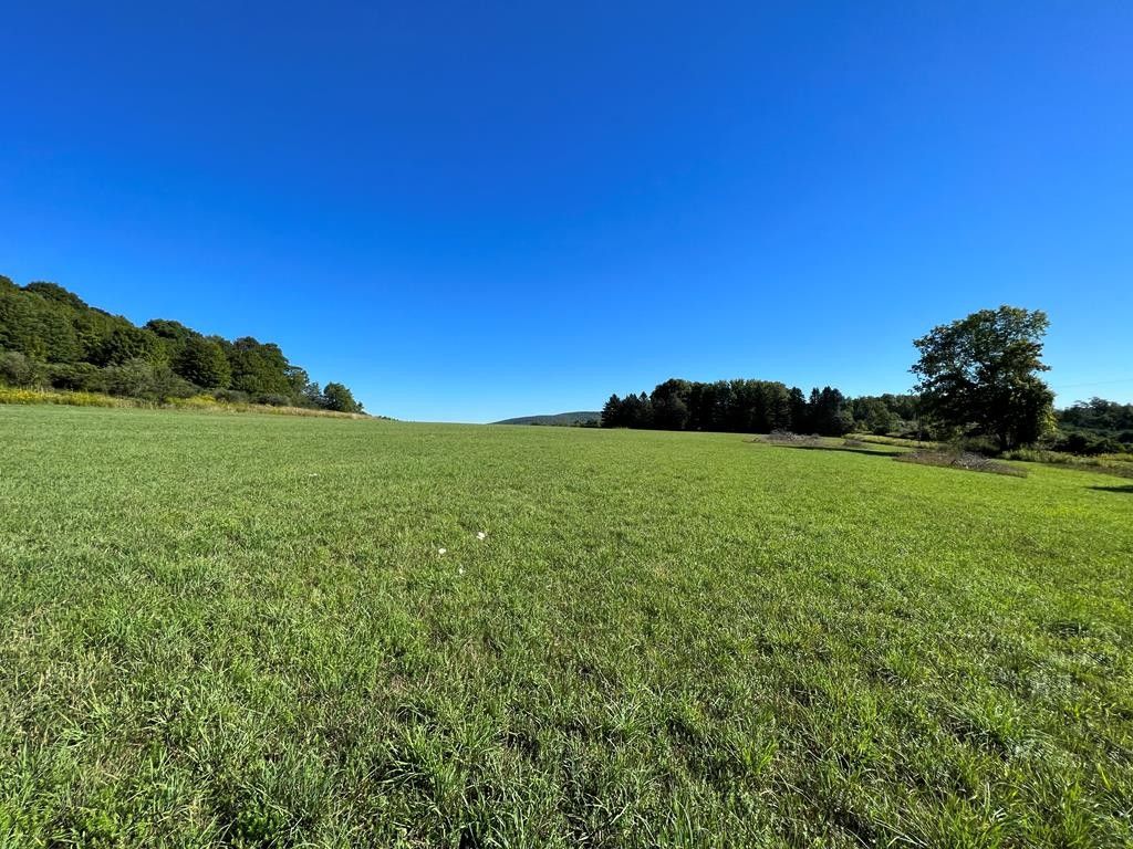 Wellsboro, Tioga County, PA Undeveloped Land for sale Property ID