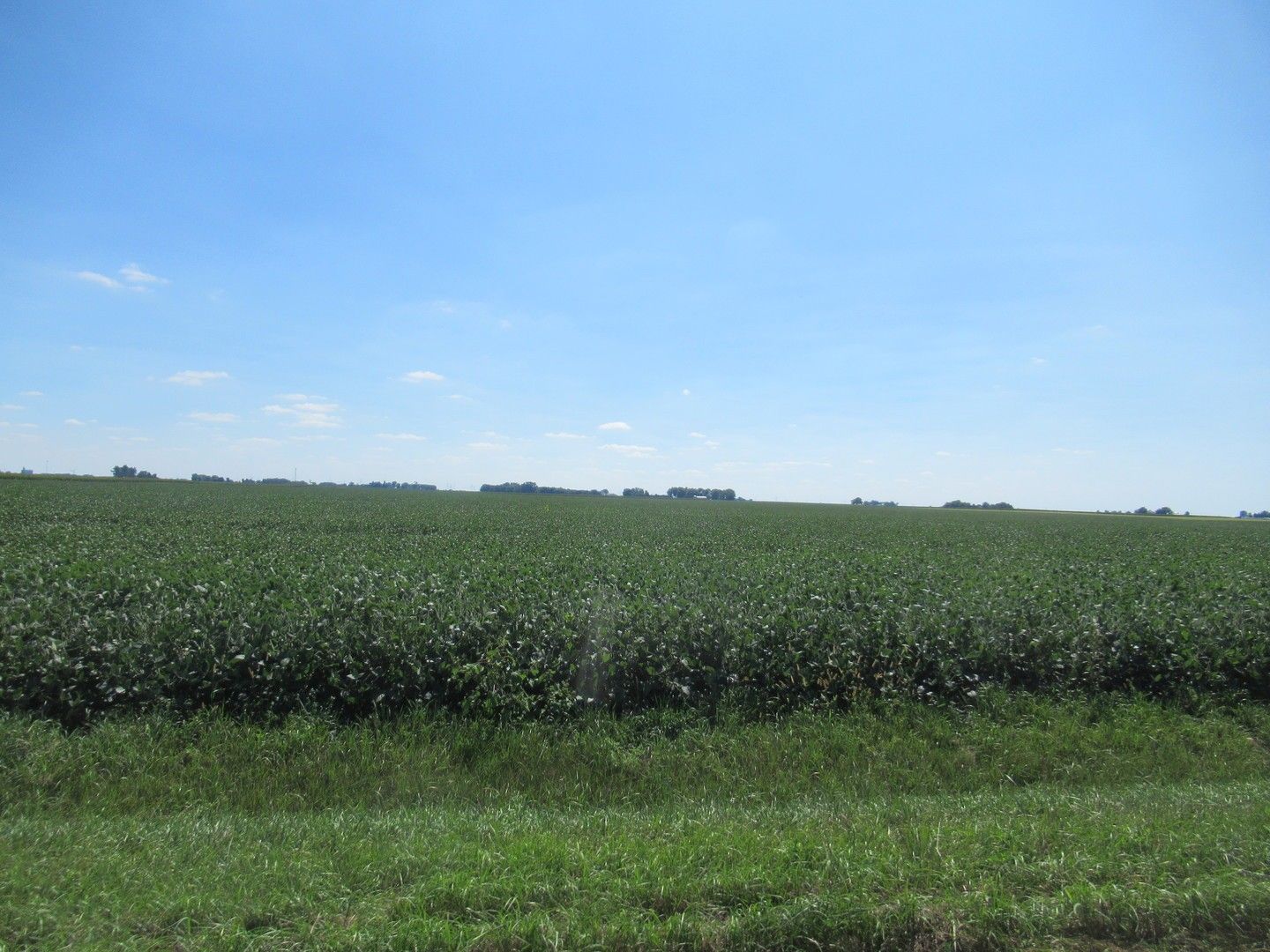 Pontiac, Livingston County, IL Farms and Ranches for sale Property ID 415084637 LandWatch