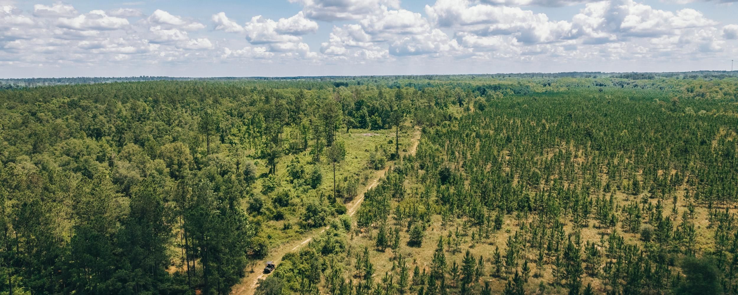 Monticello, Jefferson County, FL Recreational Property, Timberland