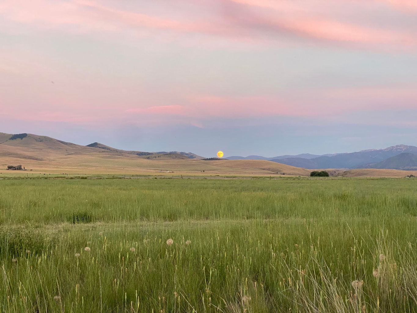Plains, Sanders County, MT Undeveloped Land for sale Property ID