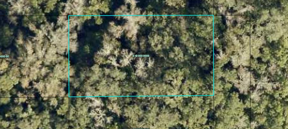 Hastings, Saint Johns County, FL Recreational Property, Undeveloped