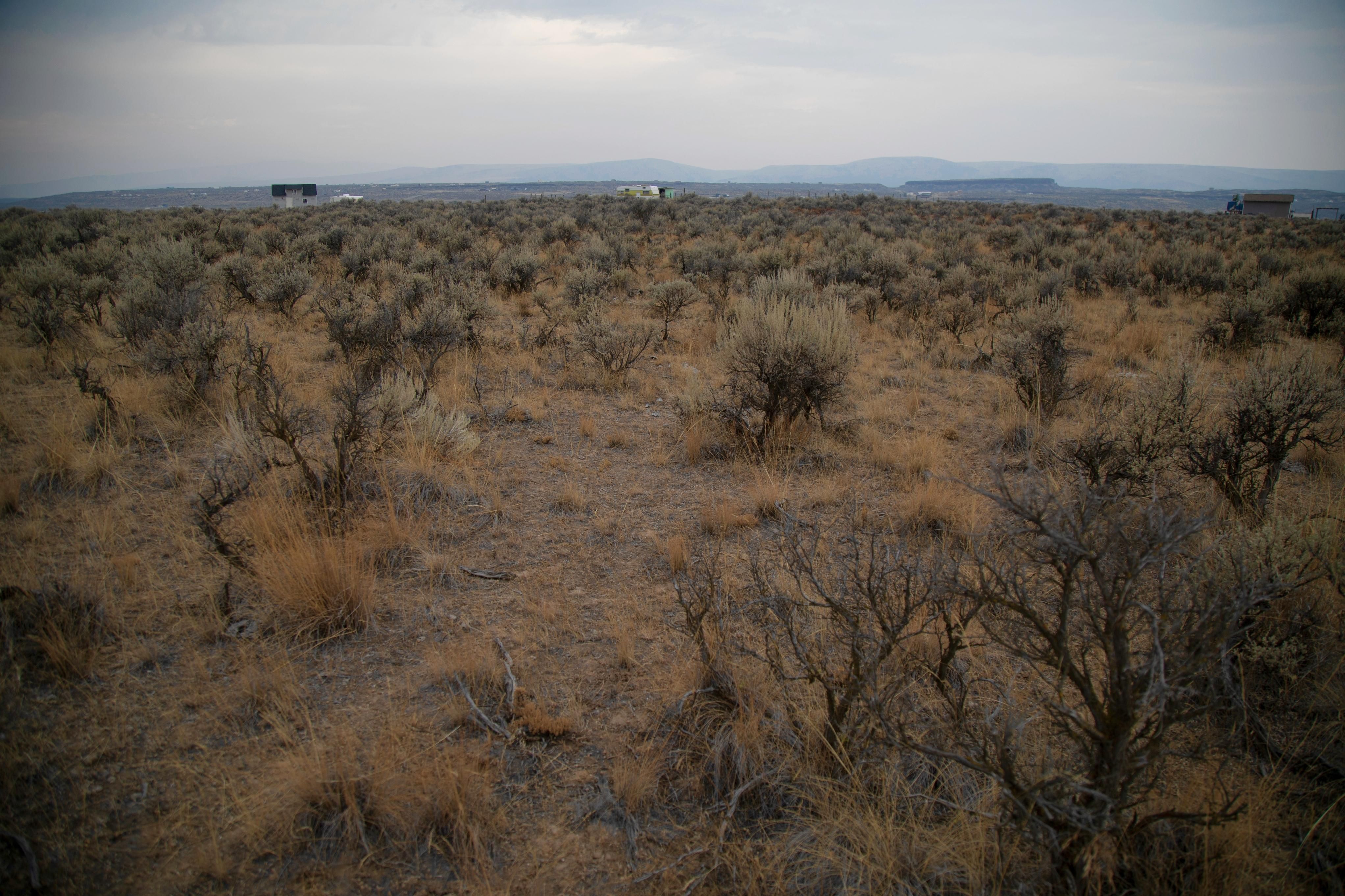 Snaffle Ct, Palisades, WA 98845 LandWatch