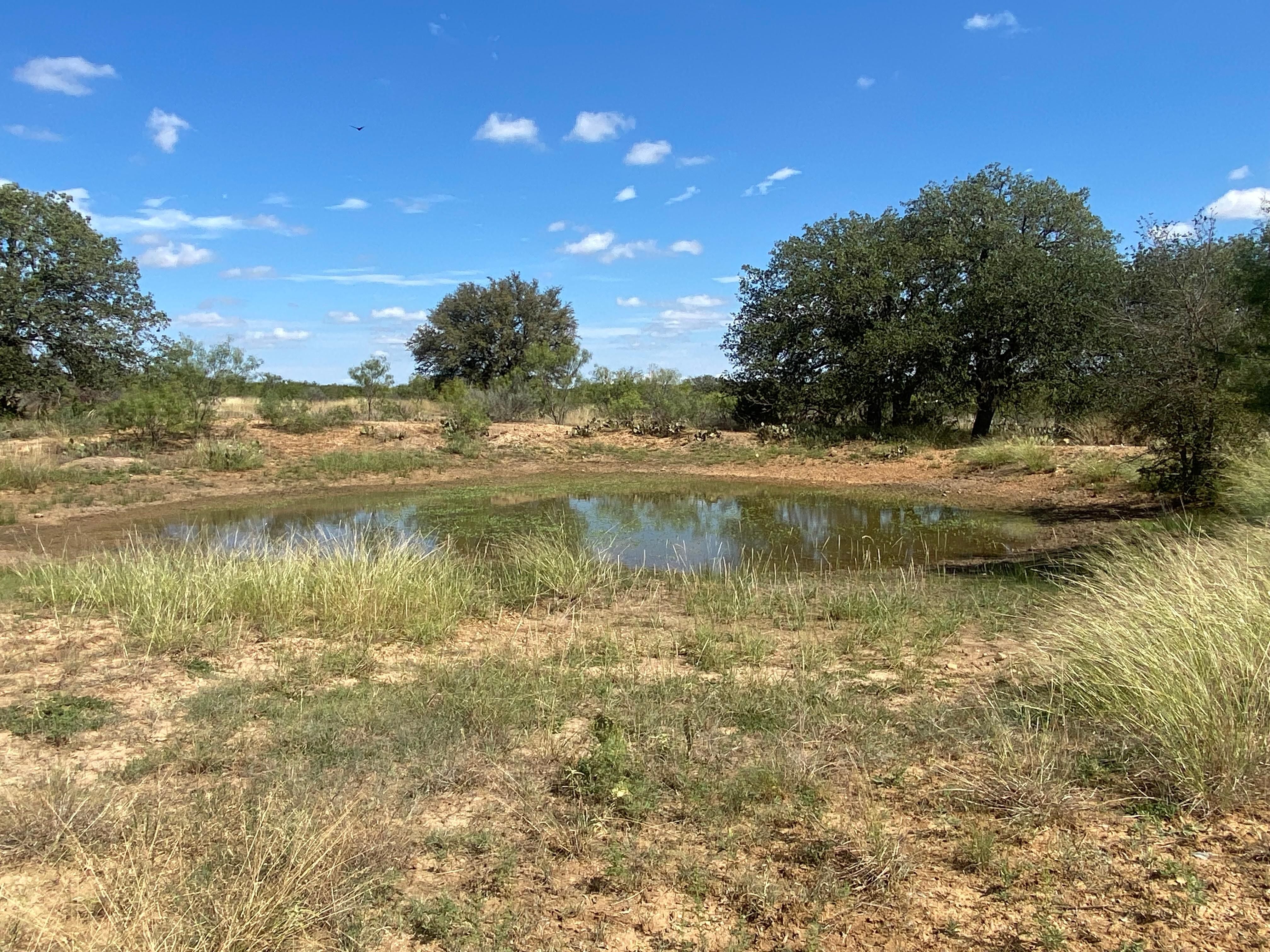 Goldthwaite, Mills County, TX Recreational Property, Undeveloped Land