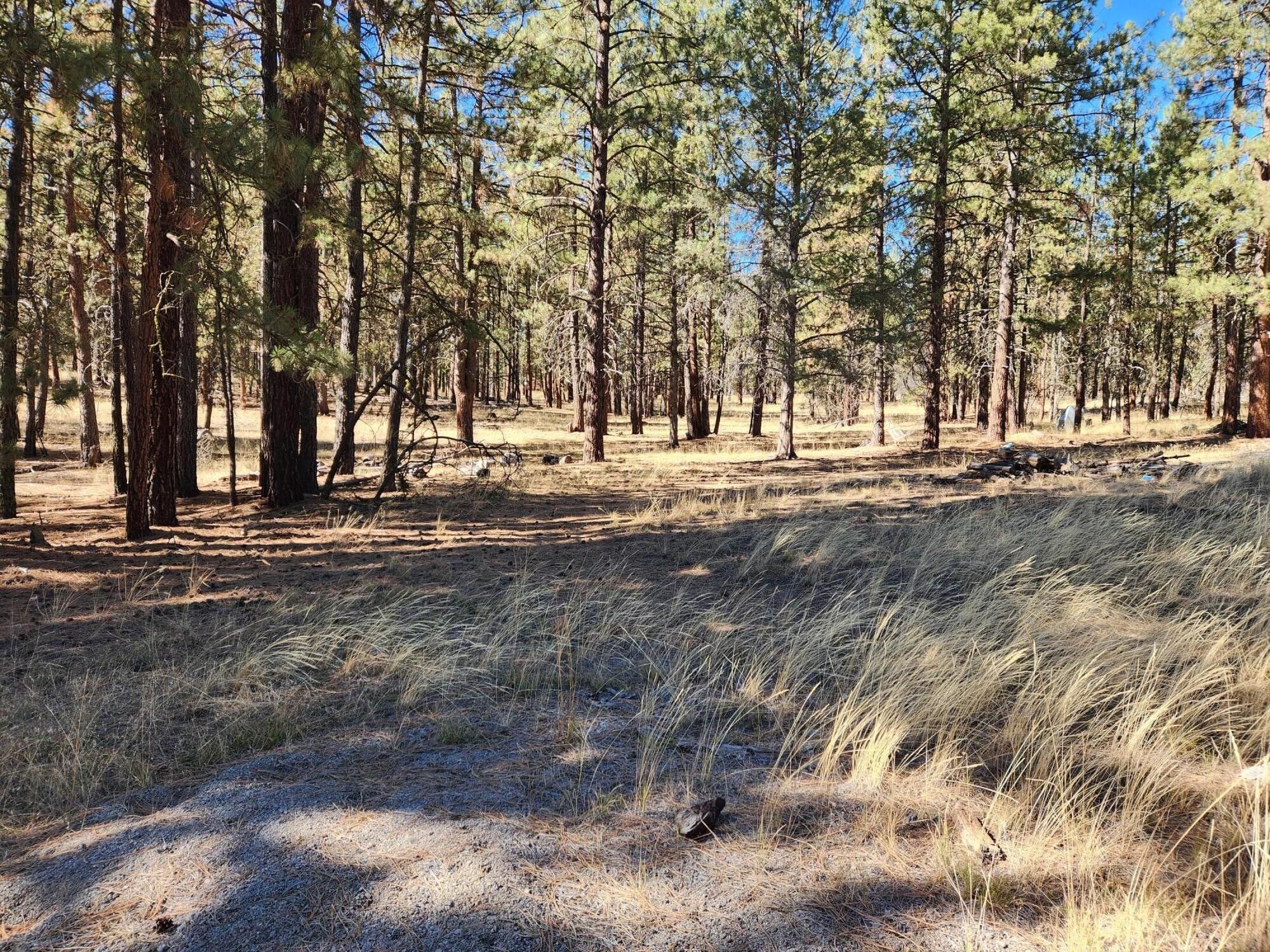 Bonanza, Klamath County, OR Undeveloped Land for sale Property ID