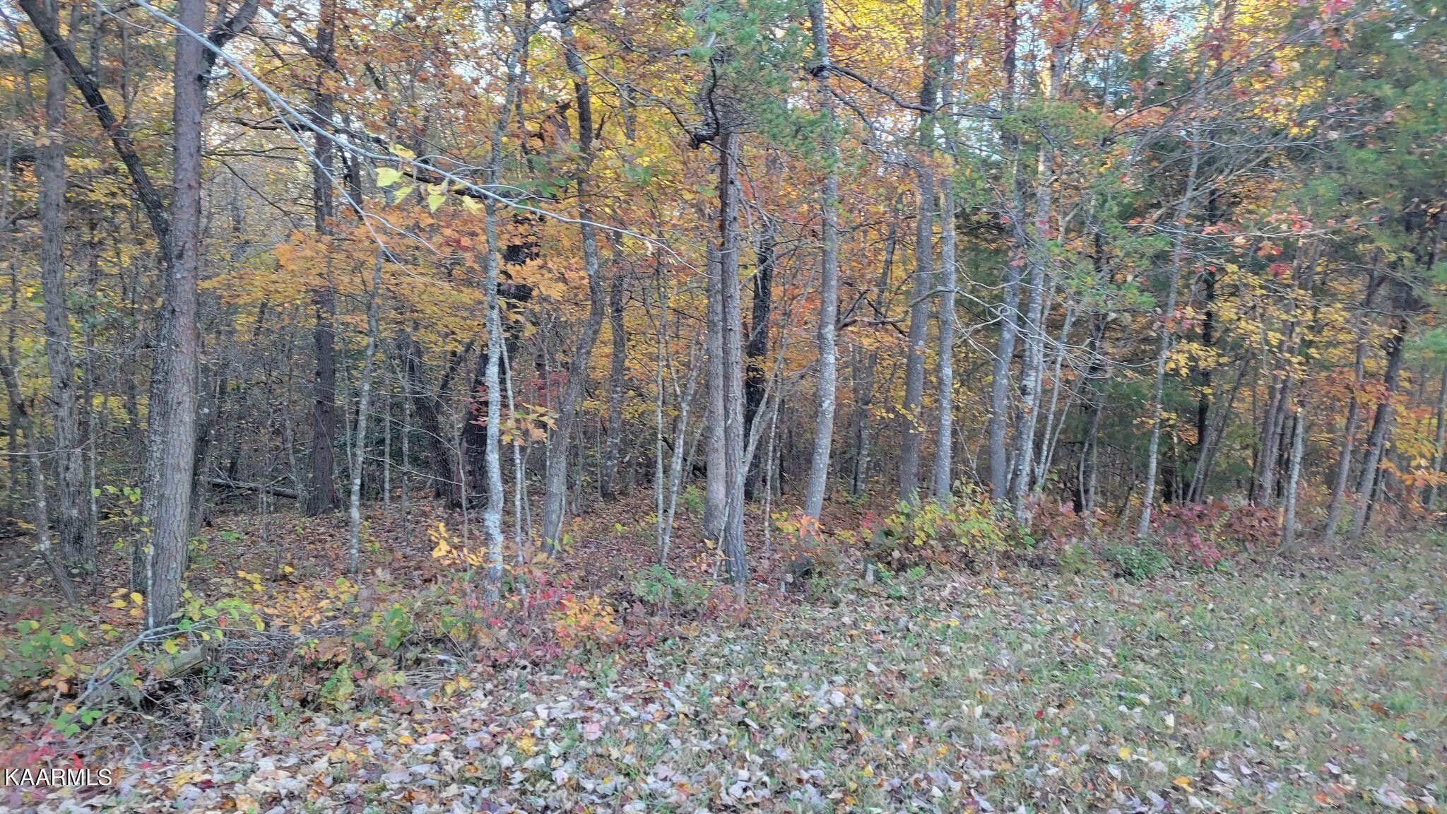 Monterey, Cumberland County, TN Undeveloped Land, Homesites for sale