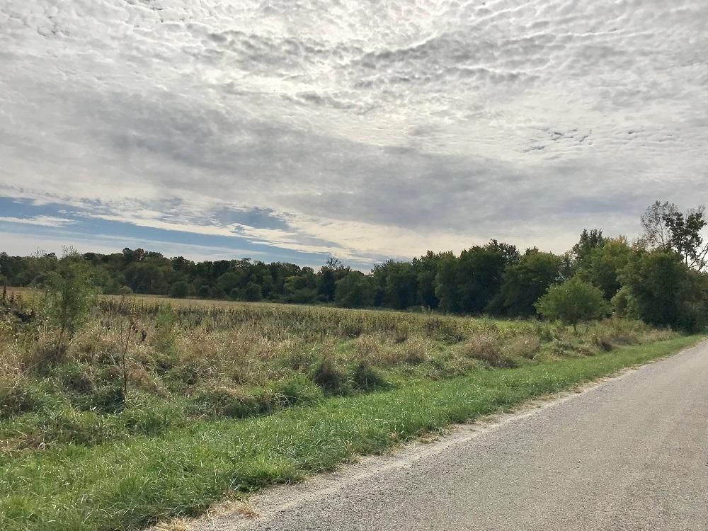 London Mills, Knox County, IL Timberland Property, Hunting Property