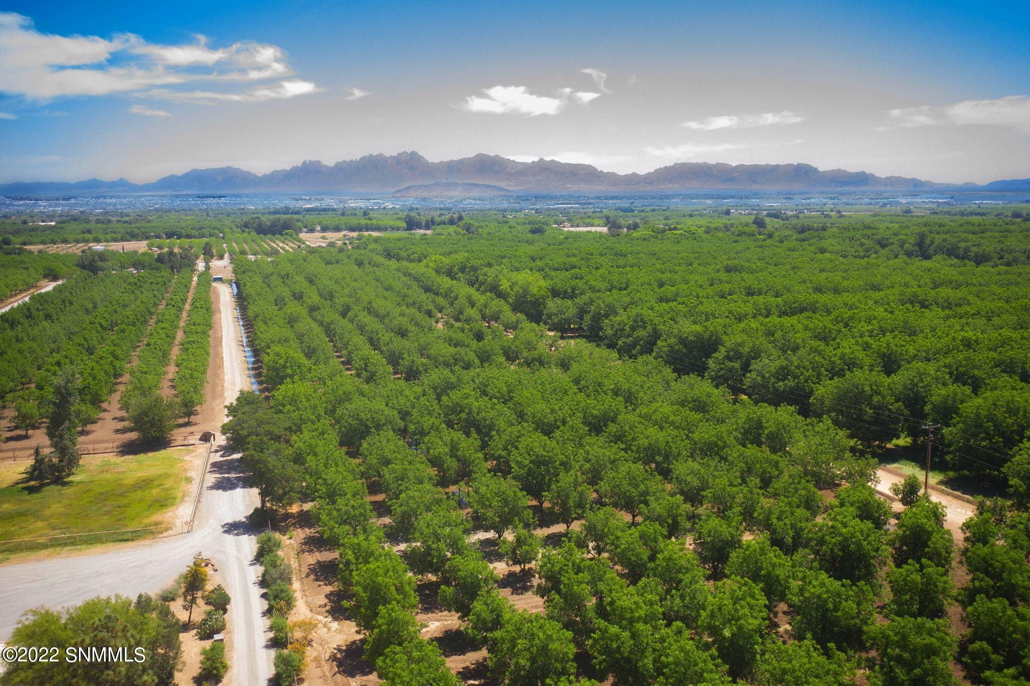 Mesilla, Dona Ana County, NM Farms and Ranches for sale Property ID