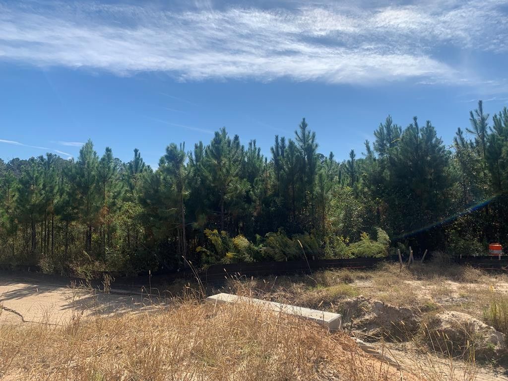 Moultrie, Colquitt County, GA Farms and Ranches for sale Property ID