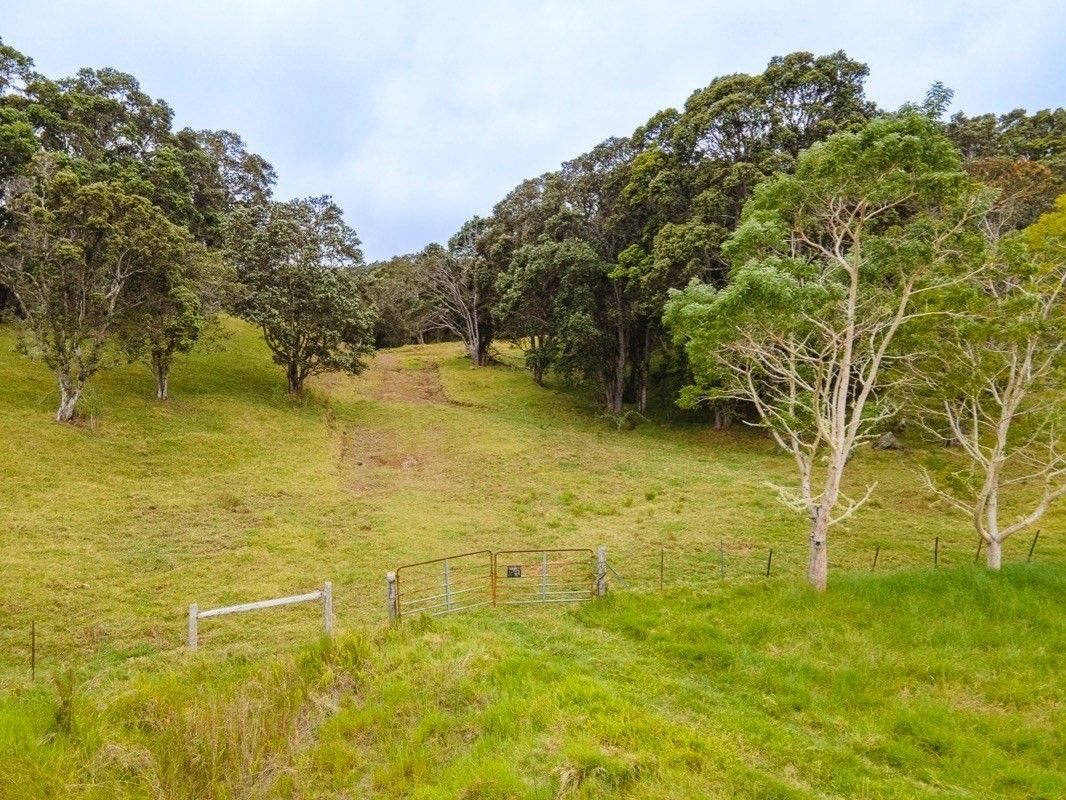 Paauilo, Hawaii County, HI Undeveloped Land for sale Property ID