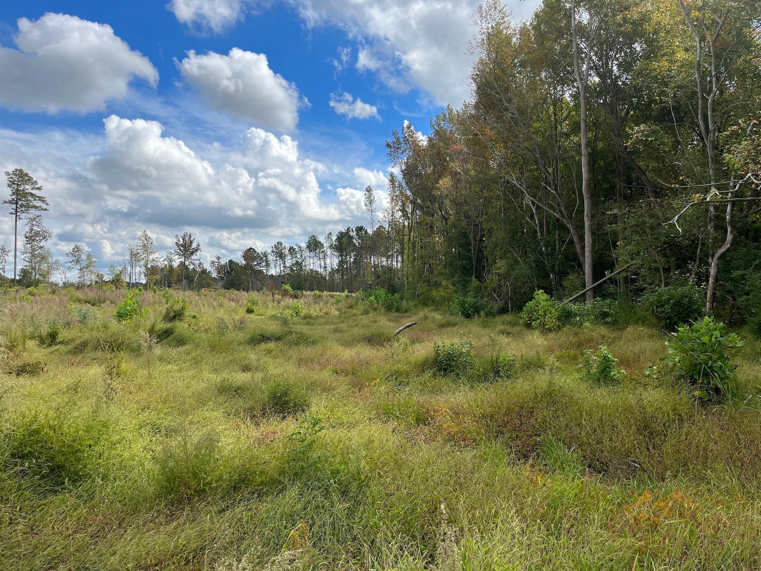 Lucama, Wilson County, NC Recreational Property, Hunting Property for