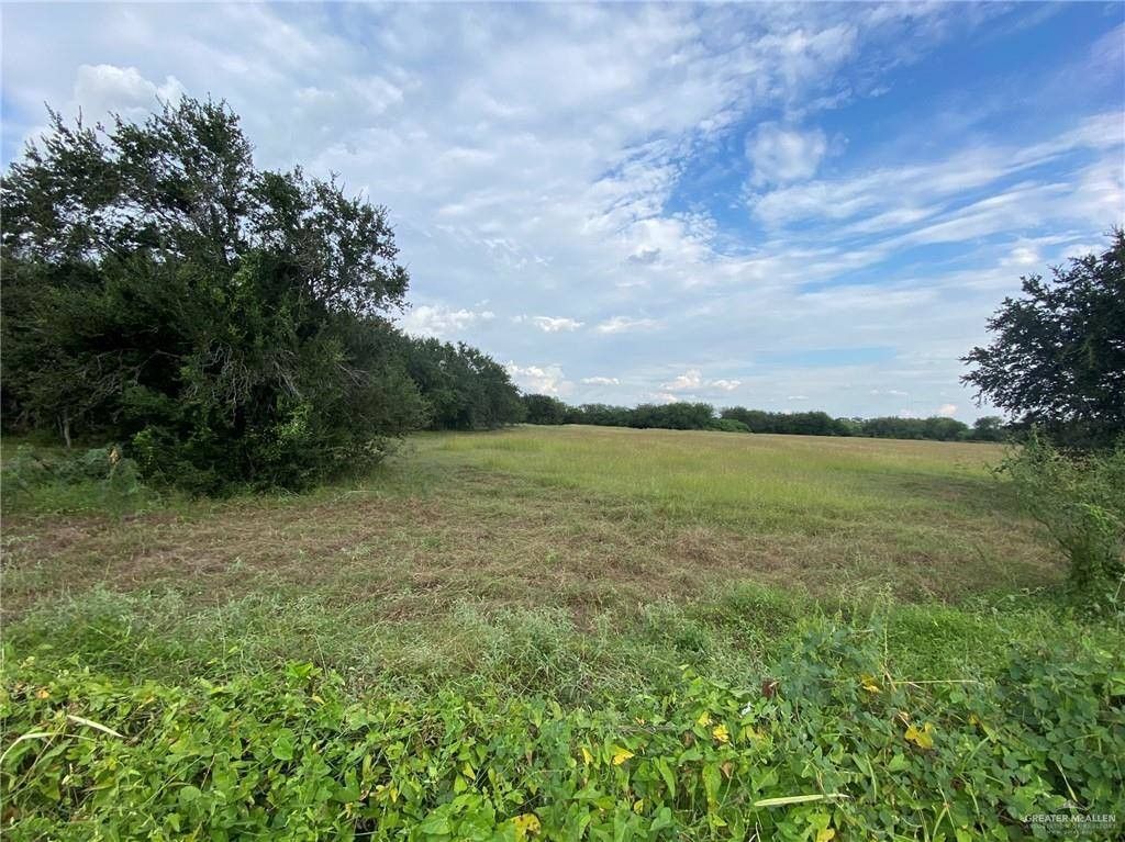 Weslaco, Hidalgo County, TX Farms and Ranches, Homesites for sale