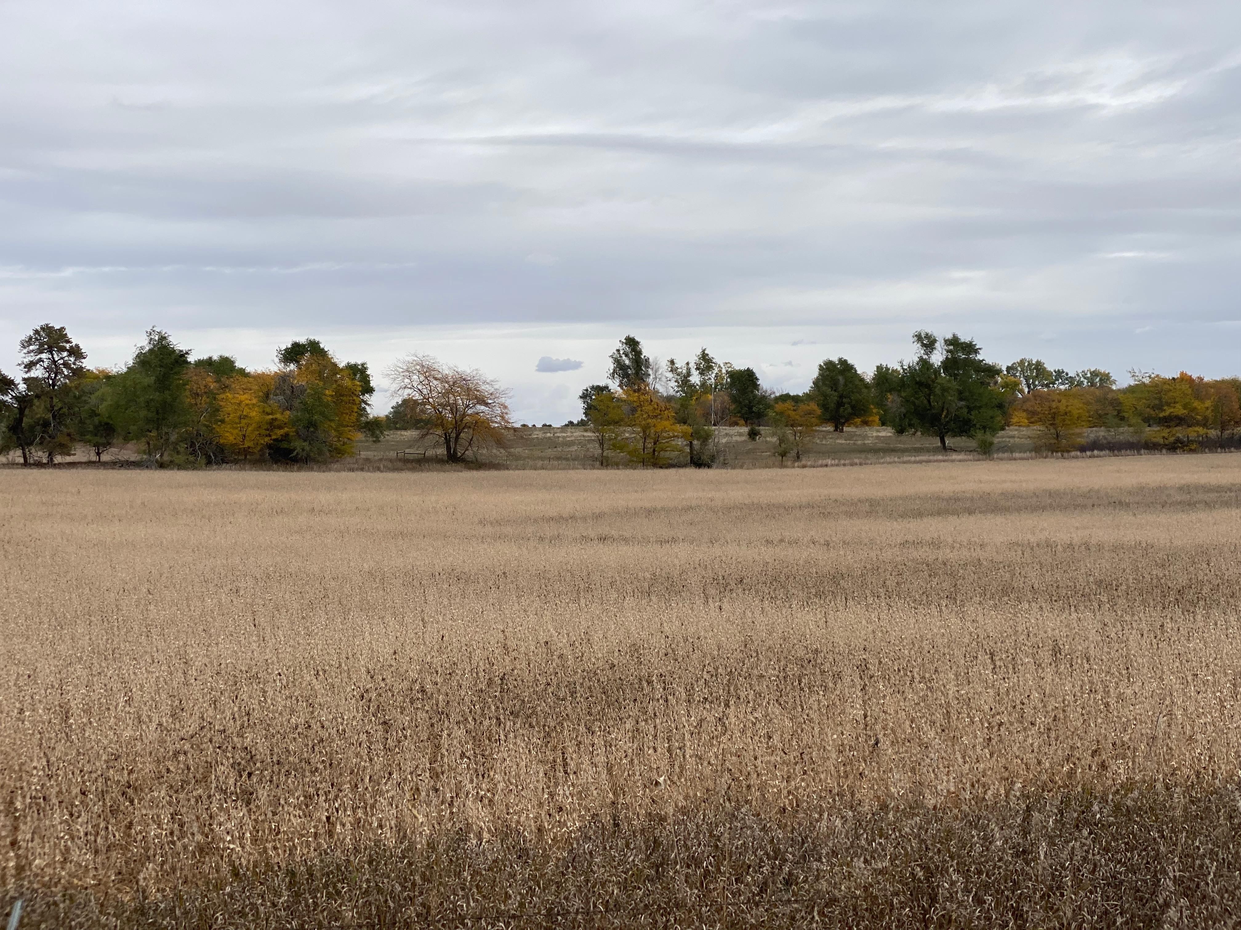 Meadow Grove, Madison County, NE Farms and Ranches, Undeveloped Land