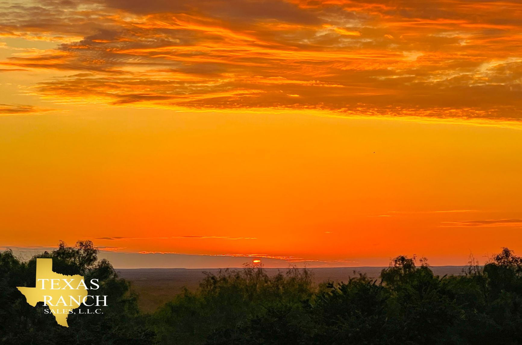 500 acres in Zapata, TX, 78076 LandWatch