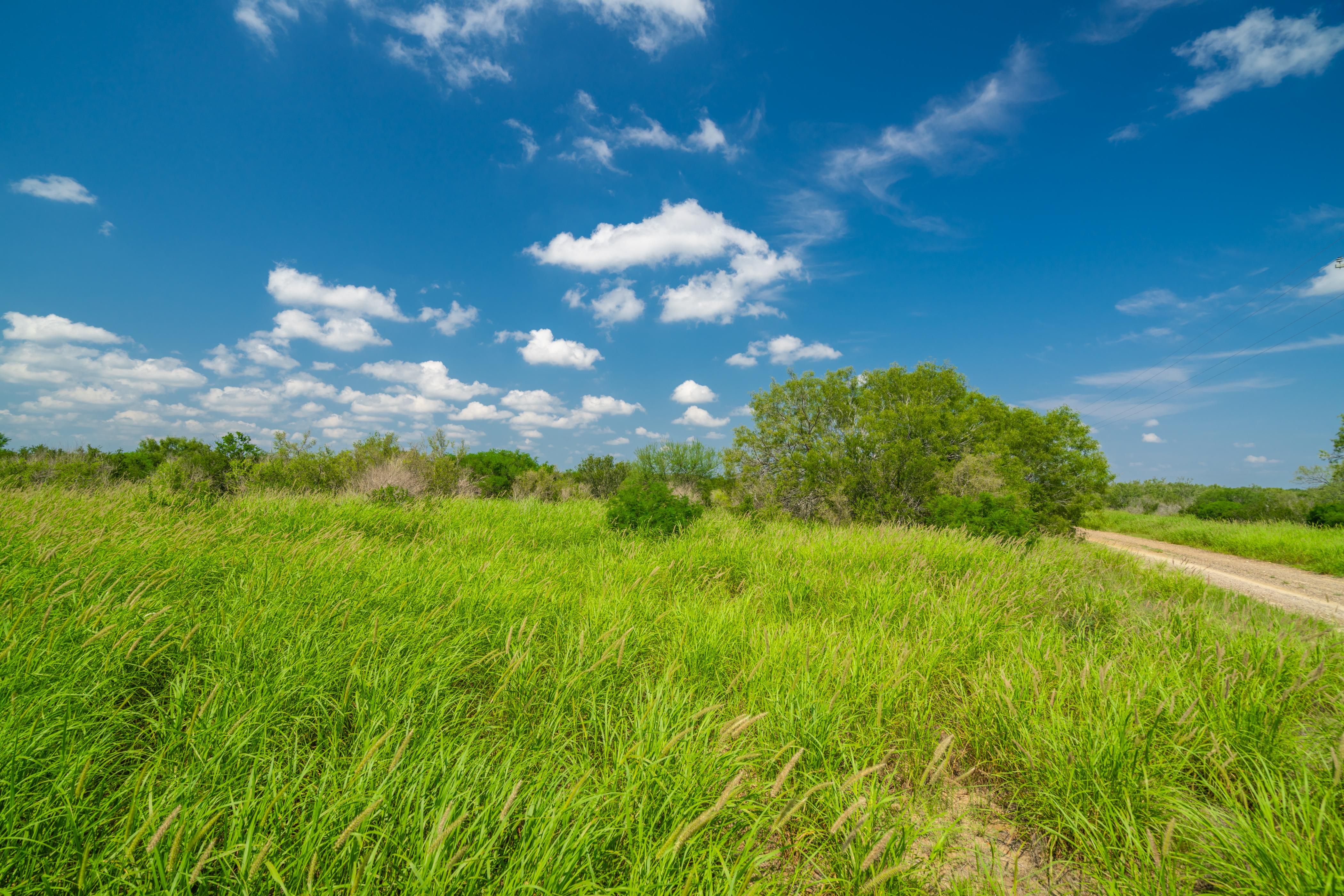 Tilden, McMullen County, TX Farms and Ranches, Recreational Property