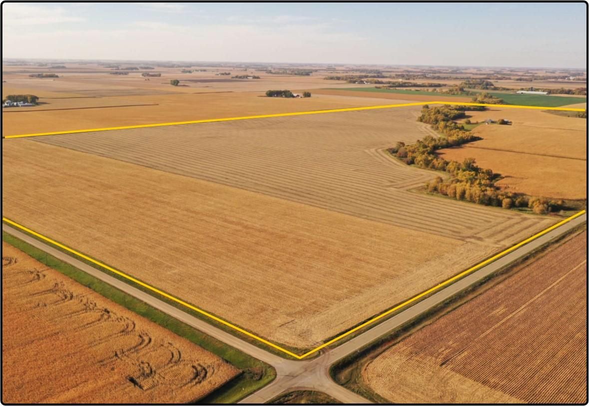 Wells, Faribault County, MN Farms and Ranches for auction Property ID