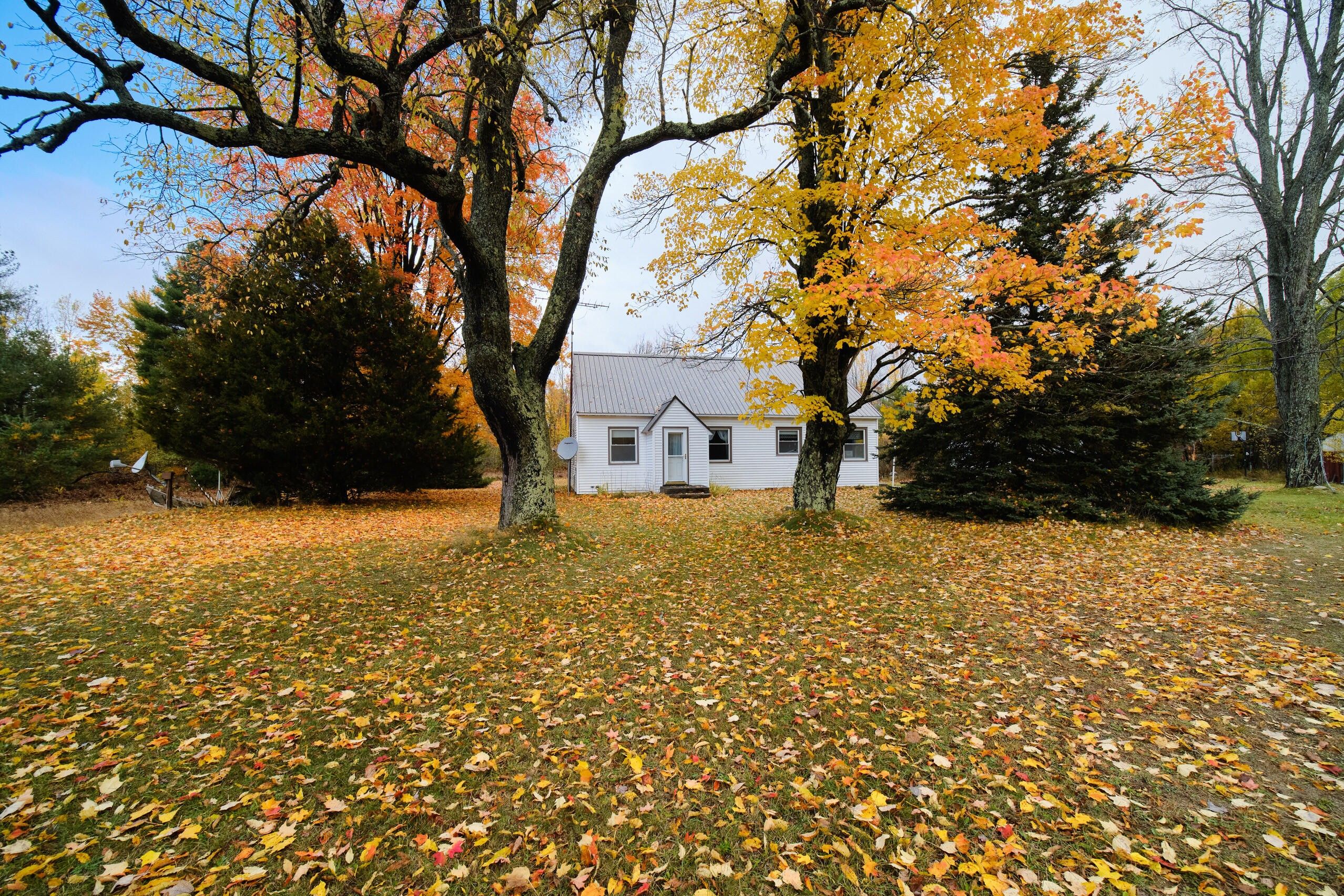 Kaleva, Manistee County, MI House for sale Property ID 415094138