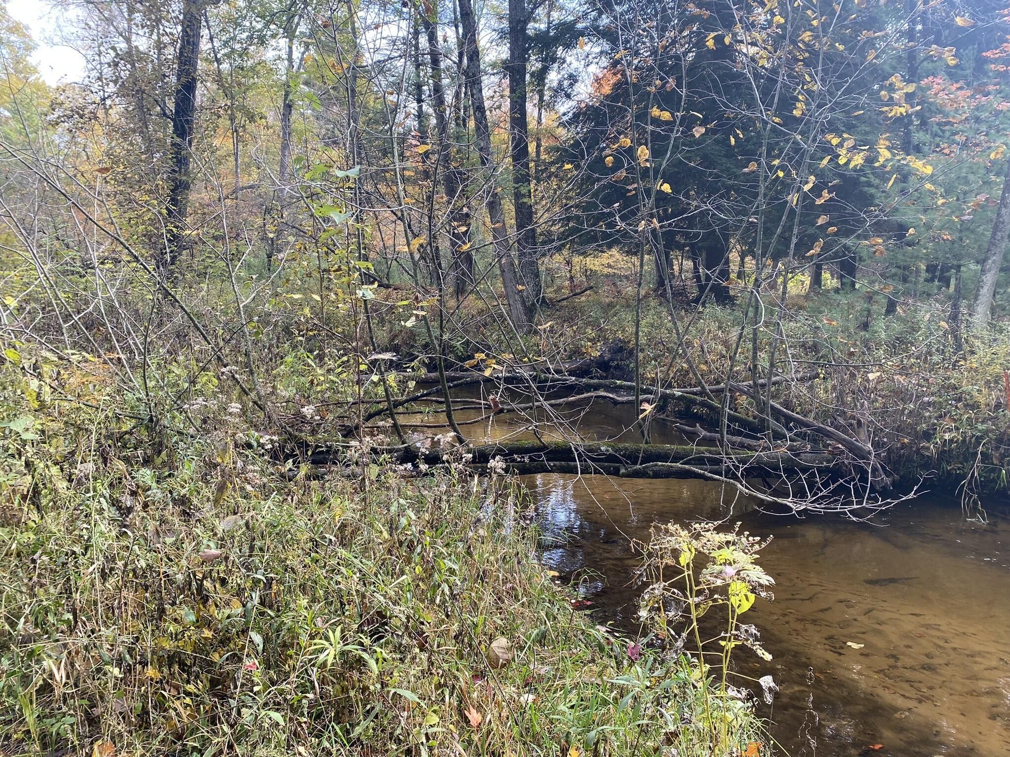 Luther, Lake County, MI Undeveloped Land, Lakefront Property