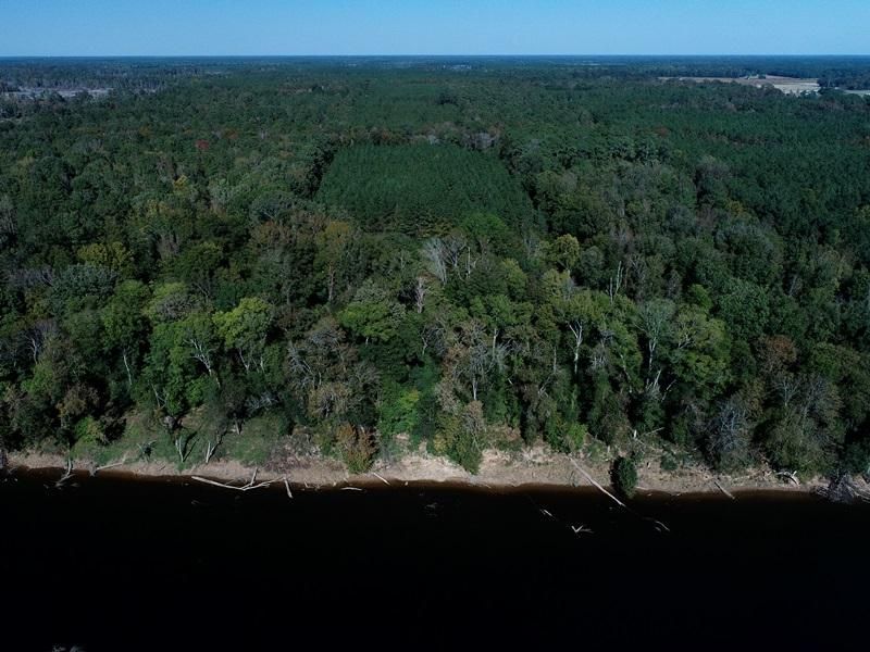 White Oak, Bladen County, NC Recreational Property, Timberland Property