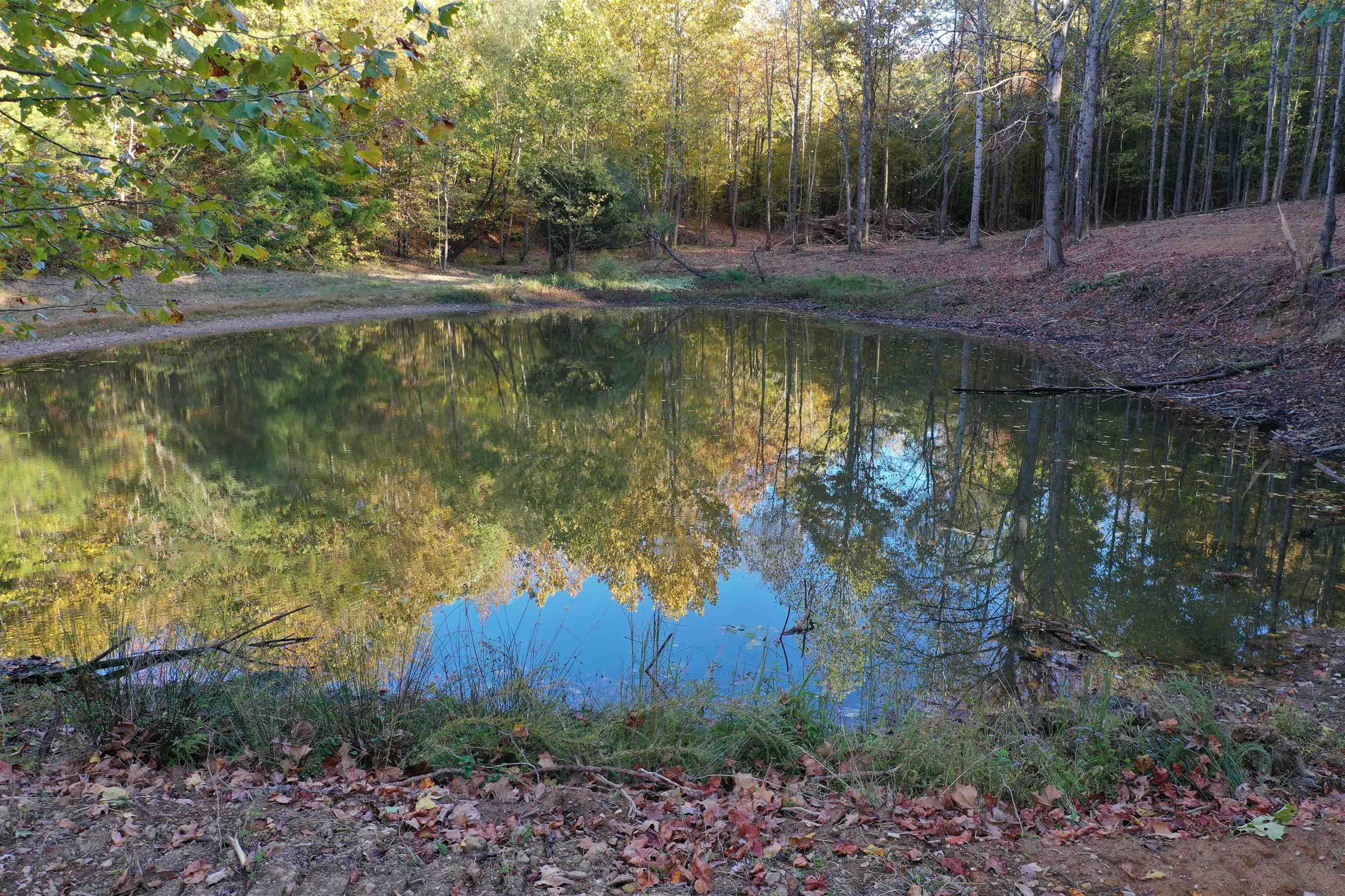 Clifton, Perry County, TN for sale Property ID 415094721 LandWatch