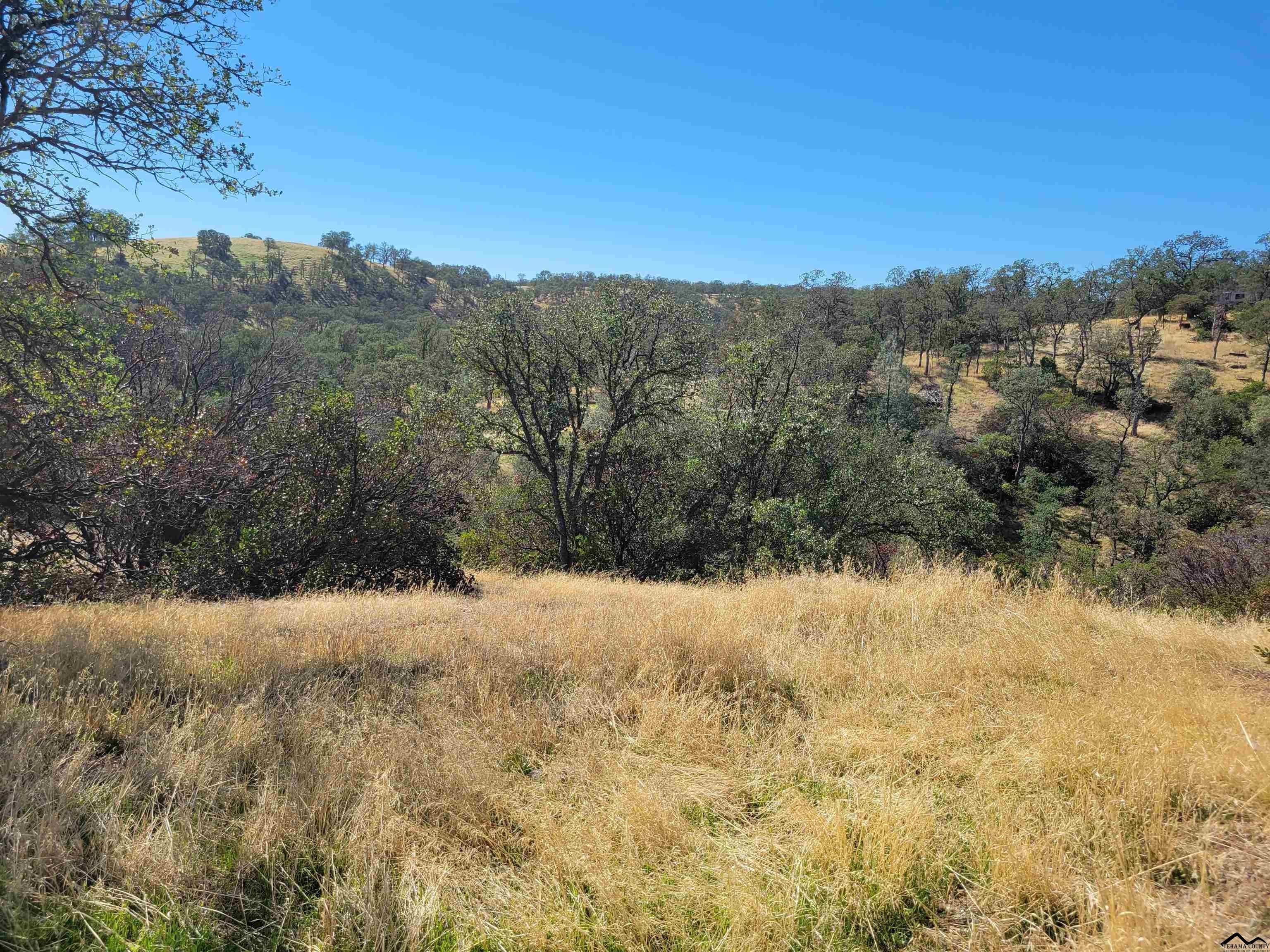 Corning, Tehama County, CA Undeveloped Land, Homesites for sale