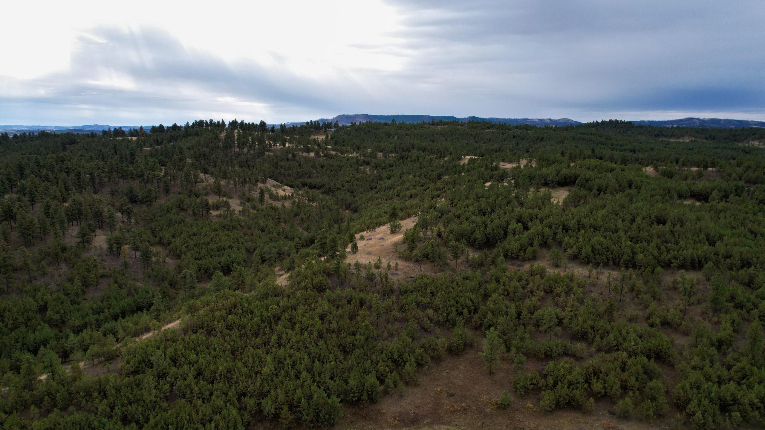 Roundup, Musselshell County, MT Recreational Property, Undeveloped Land, Hunting Property for