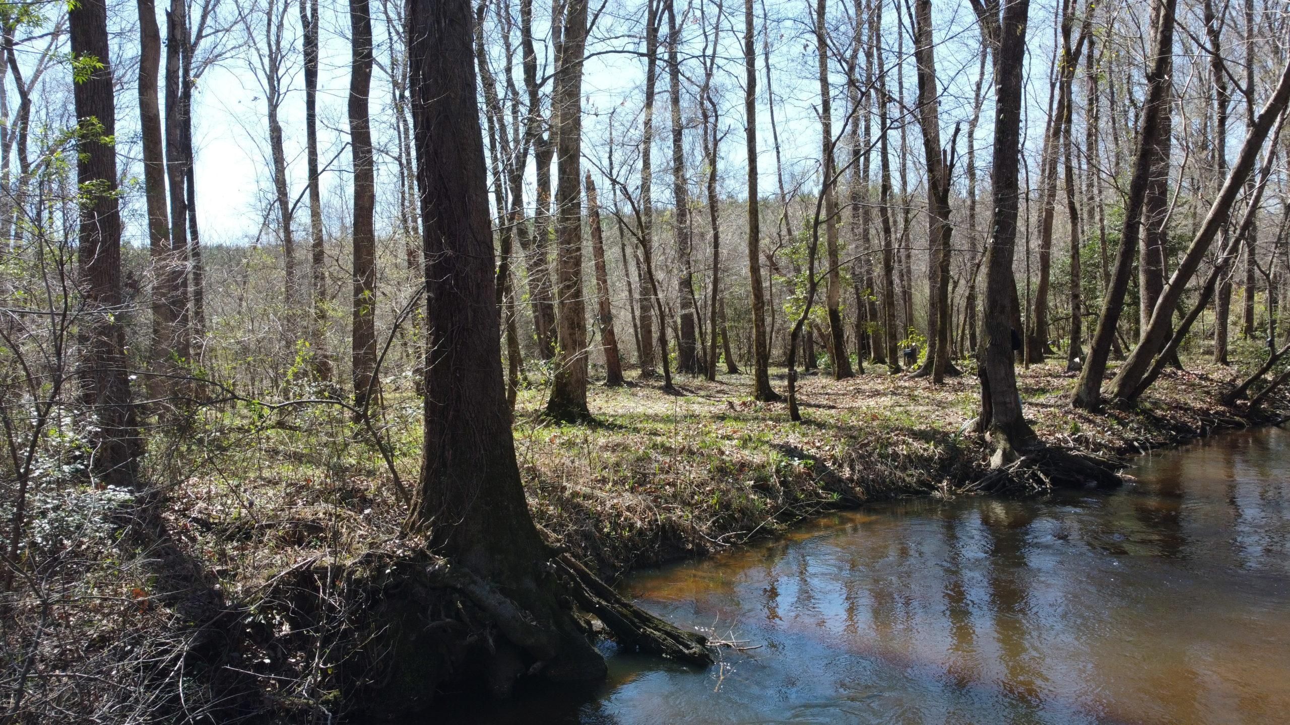 Keysville, Burke County, GA Recreational Property, Timberland Property