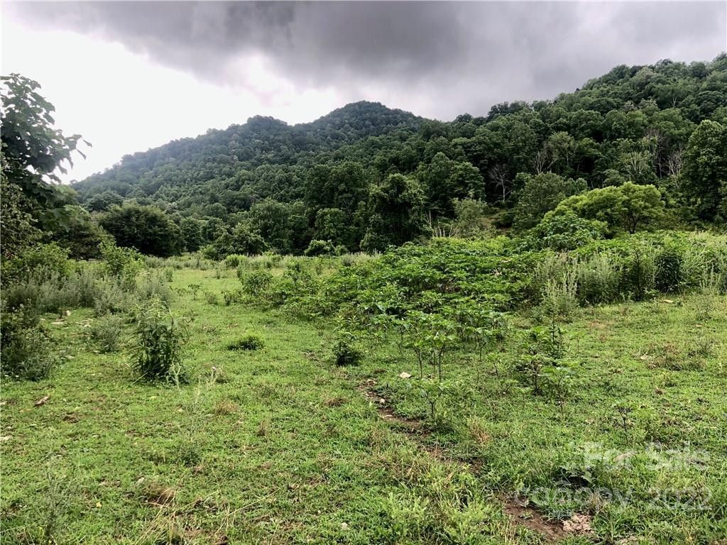 Leicester, County, NC Farms and Ranches for sale Property ID