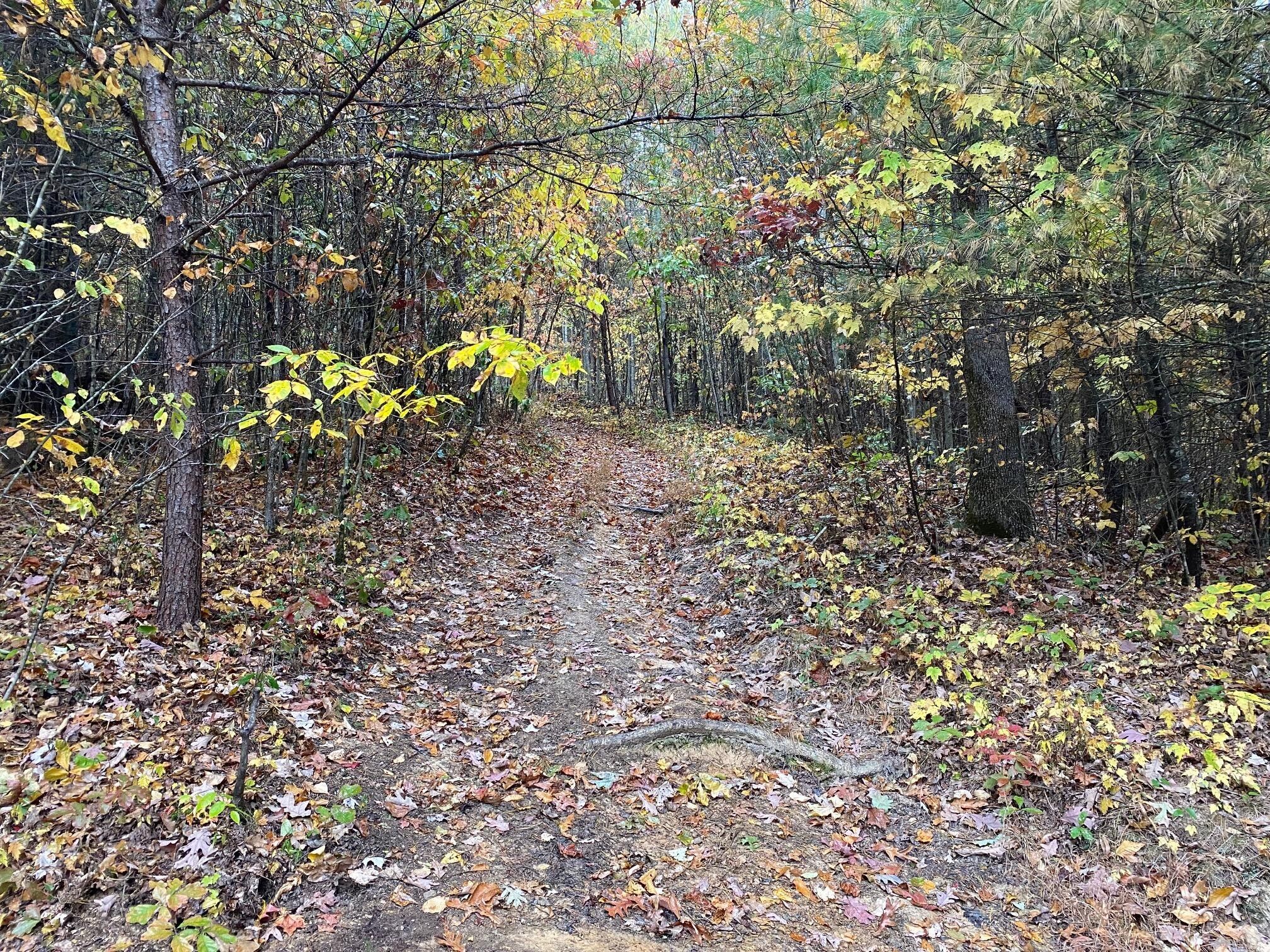 Campton, Wolfe County, KY Farms and Ranches for sale Property ID