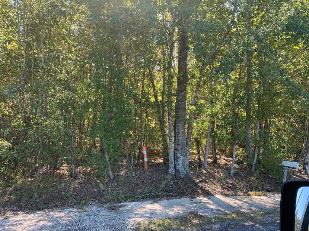 Mayesville, Lee County, SC Undeveloped Land for sale Property ID
