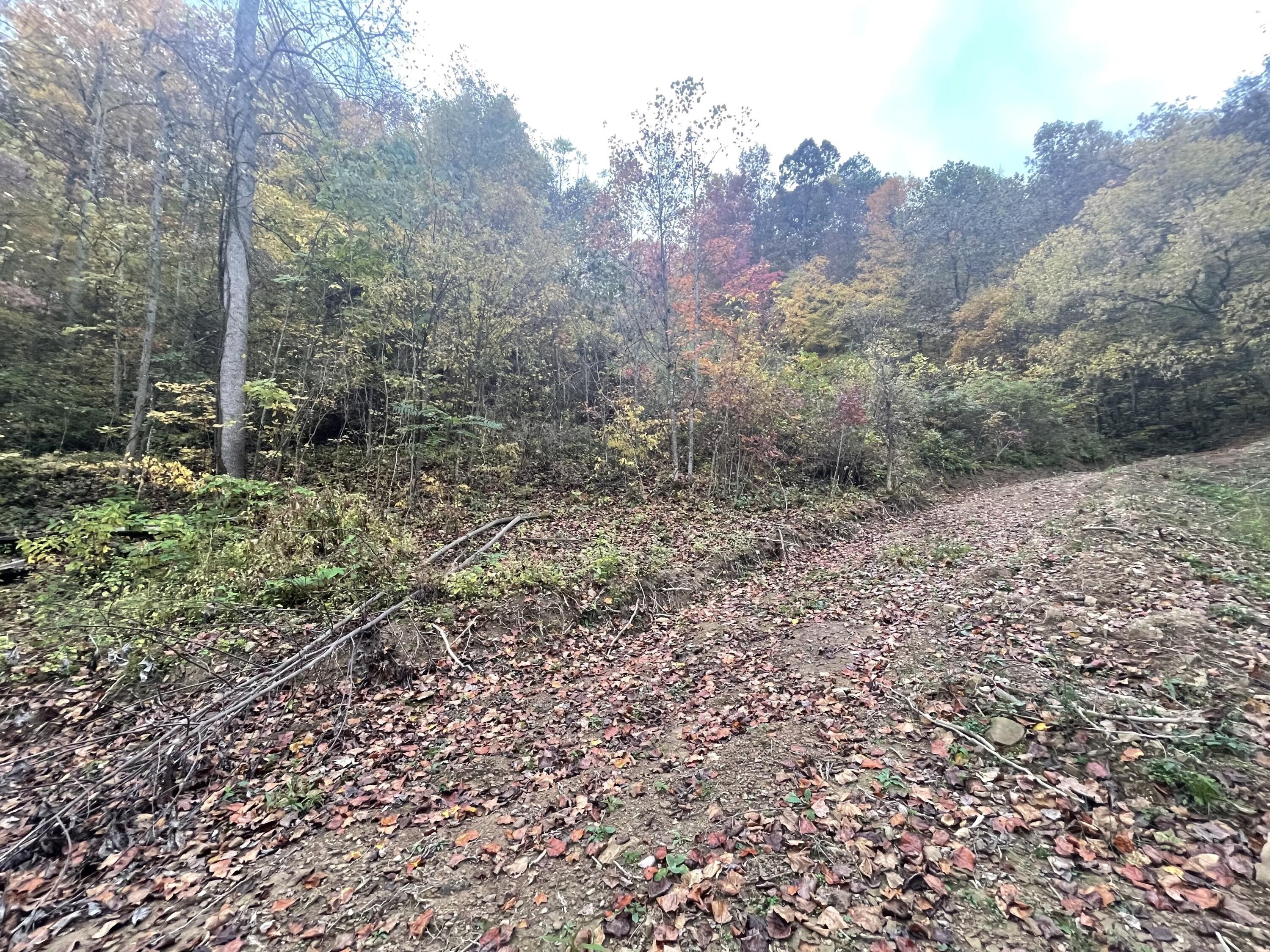 Booneville, Owsley County, KY Farms and Ranches for sale Property ID