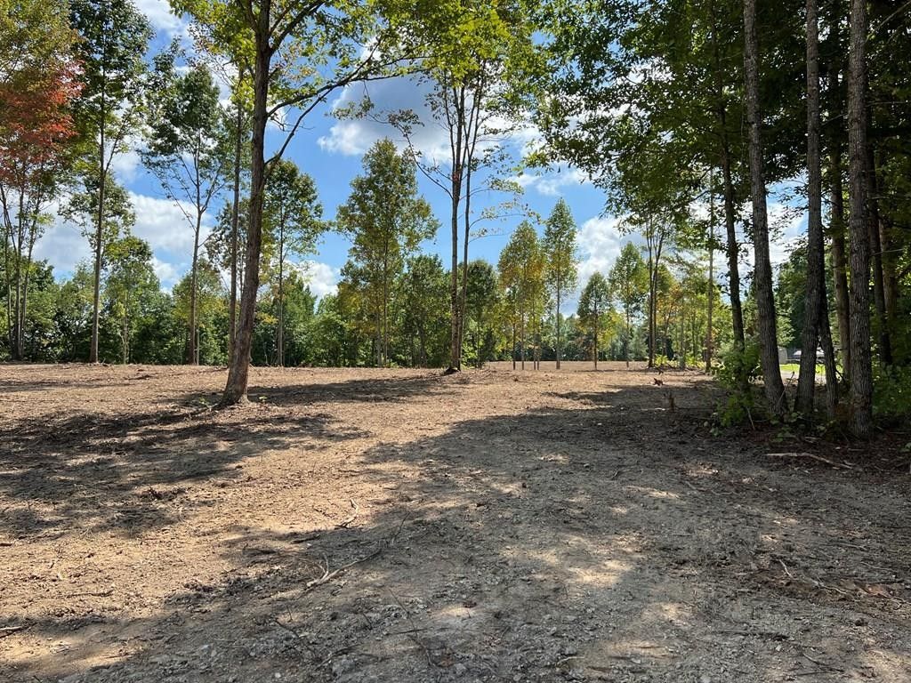 Gainesboro, Jackson County, TN Undeveloped Land, Lakefront Property