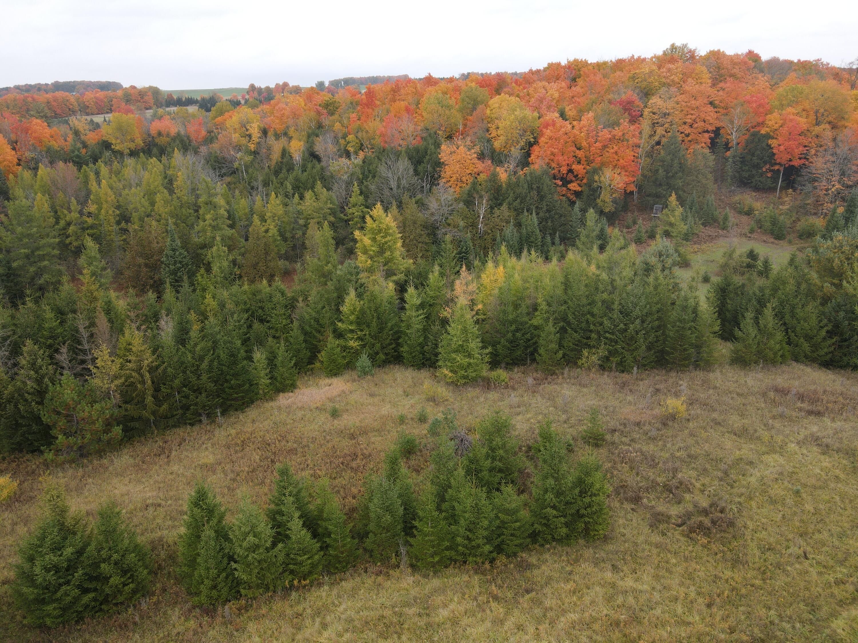 Cadillac, Wexford County, MI Undeveloped Land for sale Property ID