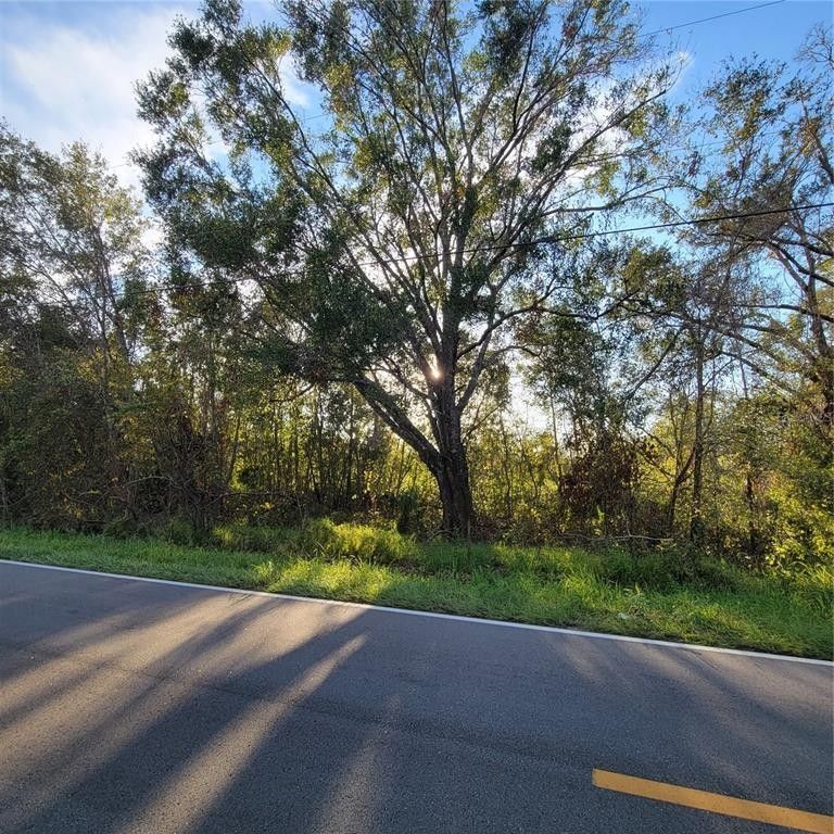 Winter Haven, Polk County, FL Undeveloped Land, Homesites for sale